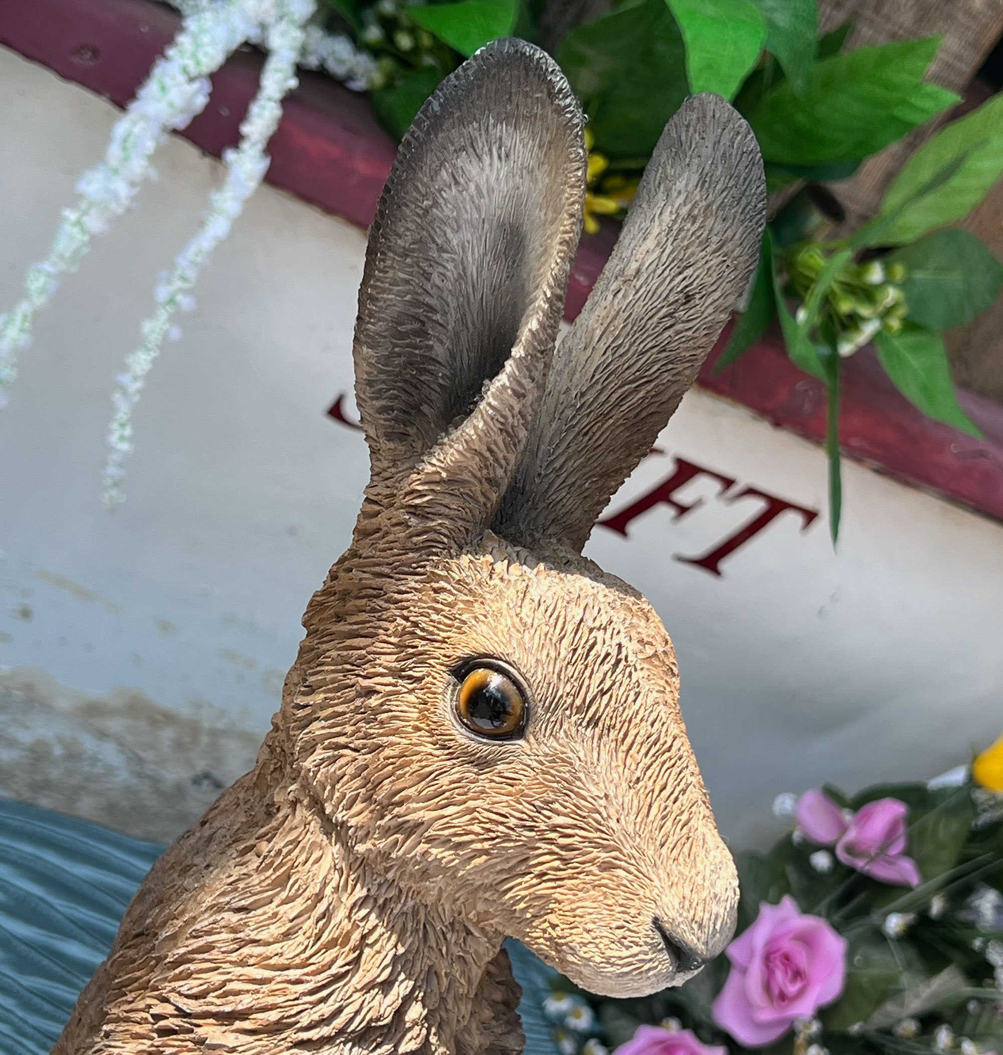 hare-pod19B.jpg