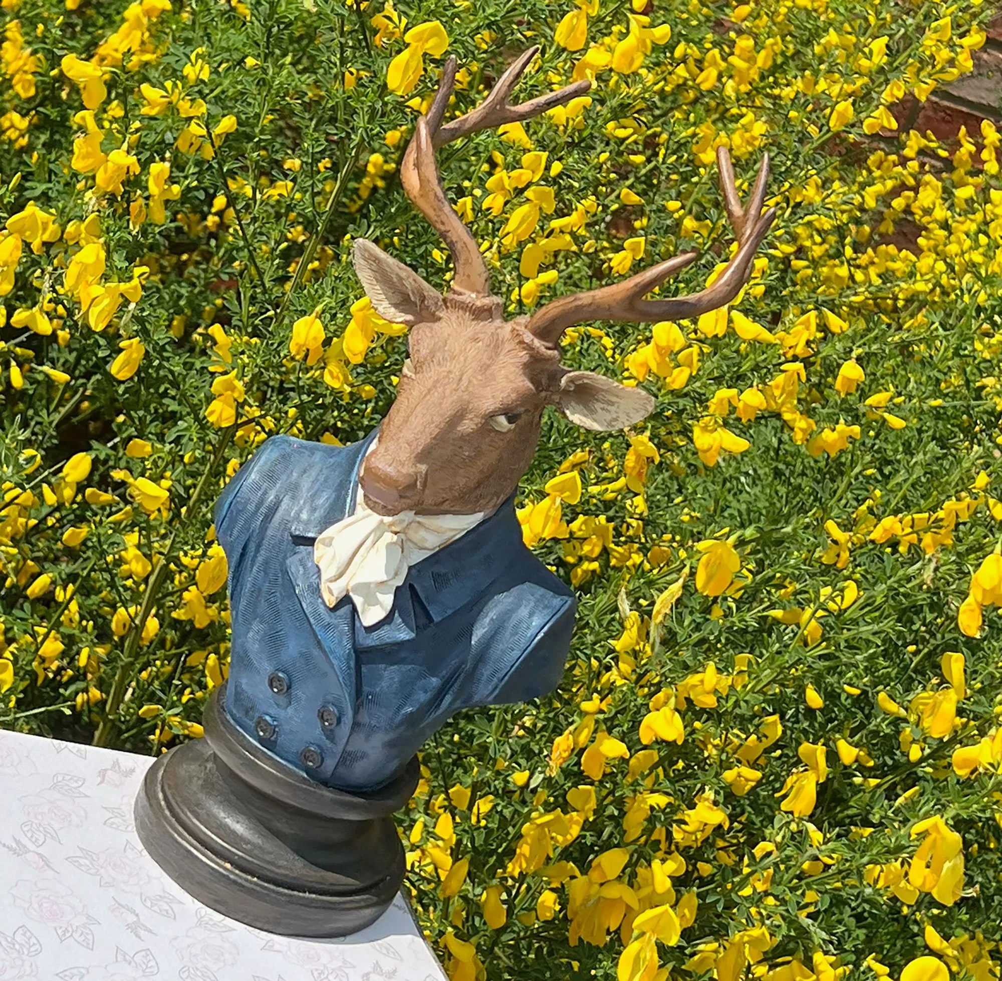 stag-pod88.jpg