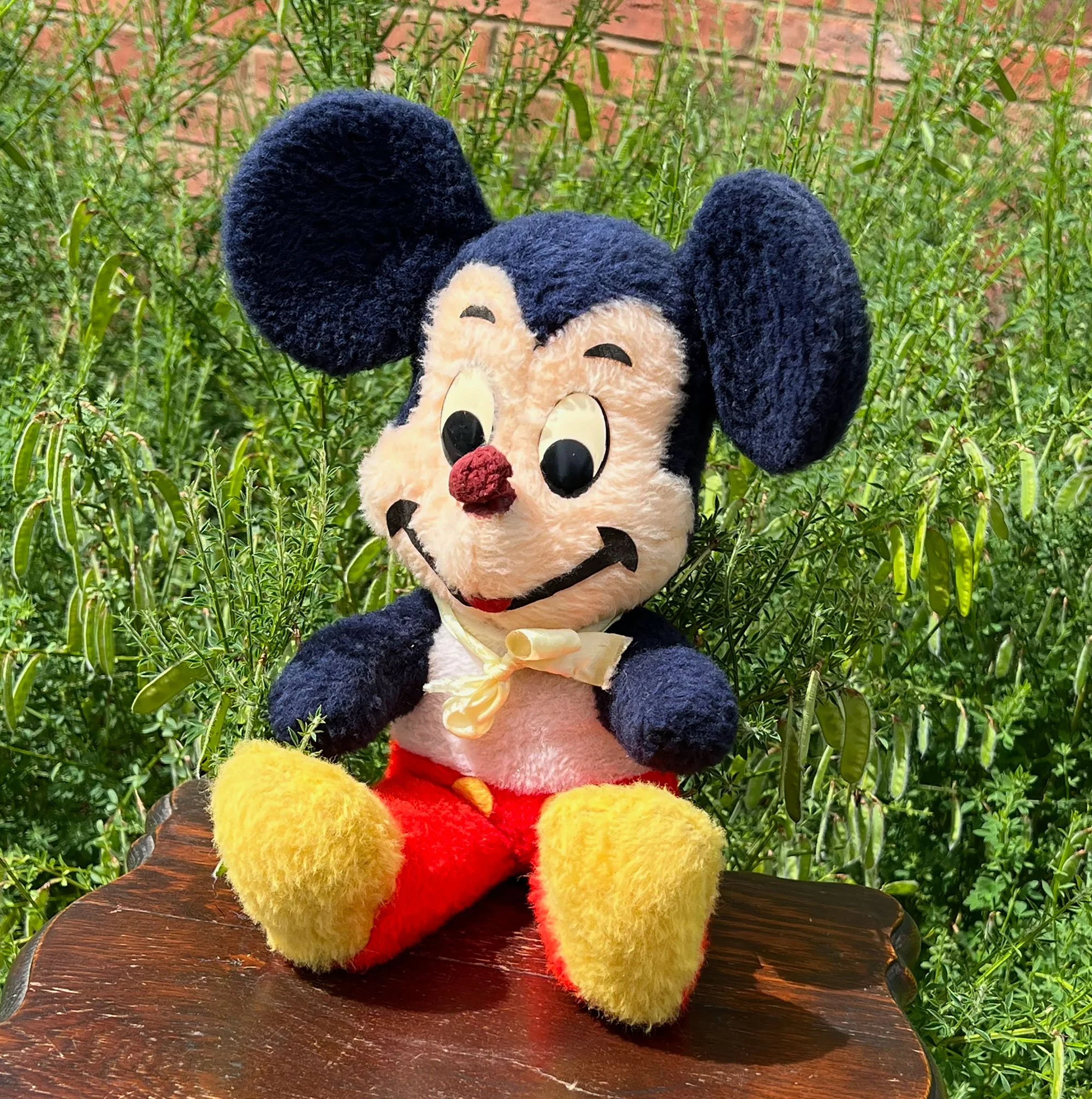 mickey-pod60.jpg