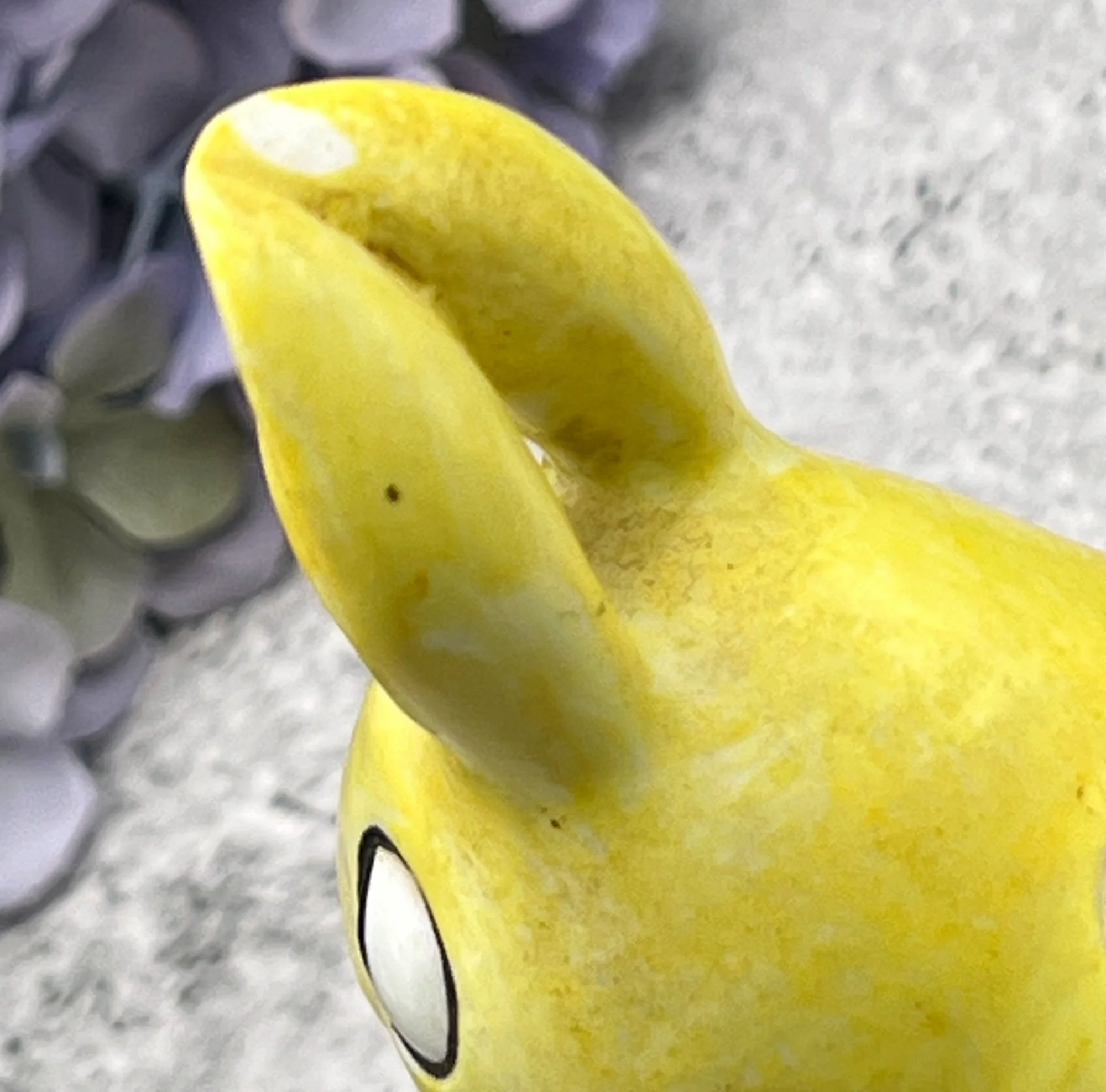 rabbit3-pod88.jpg