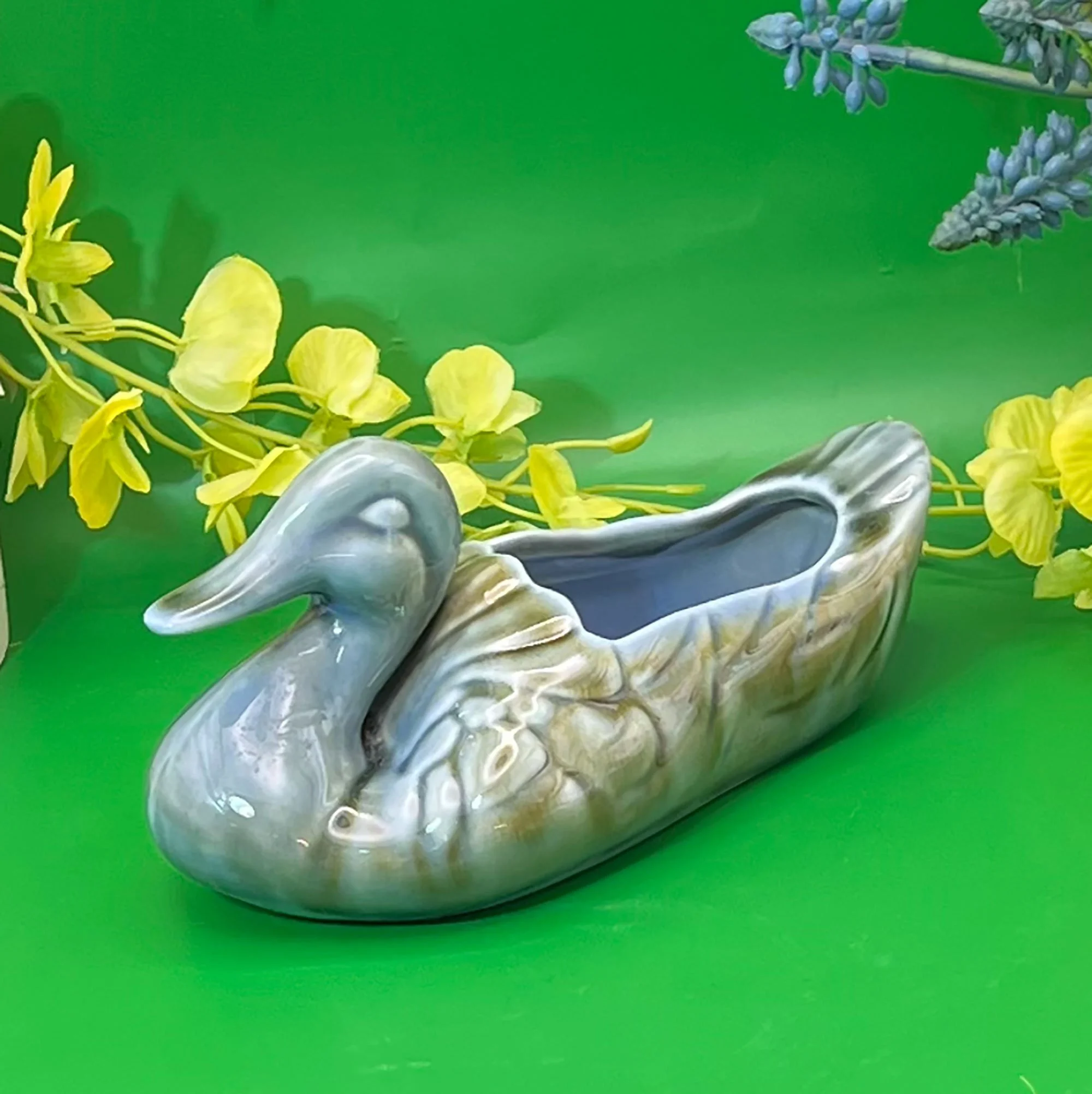 duck-pod16.jpg