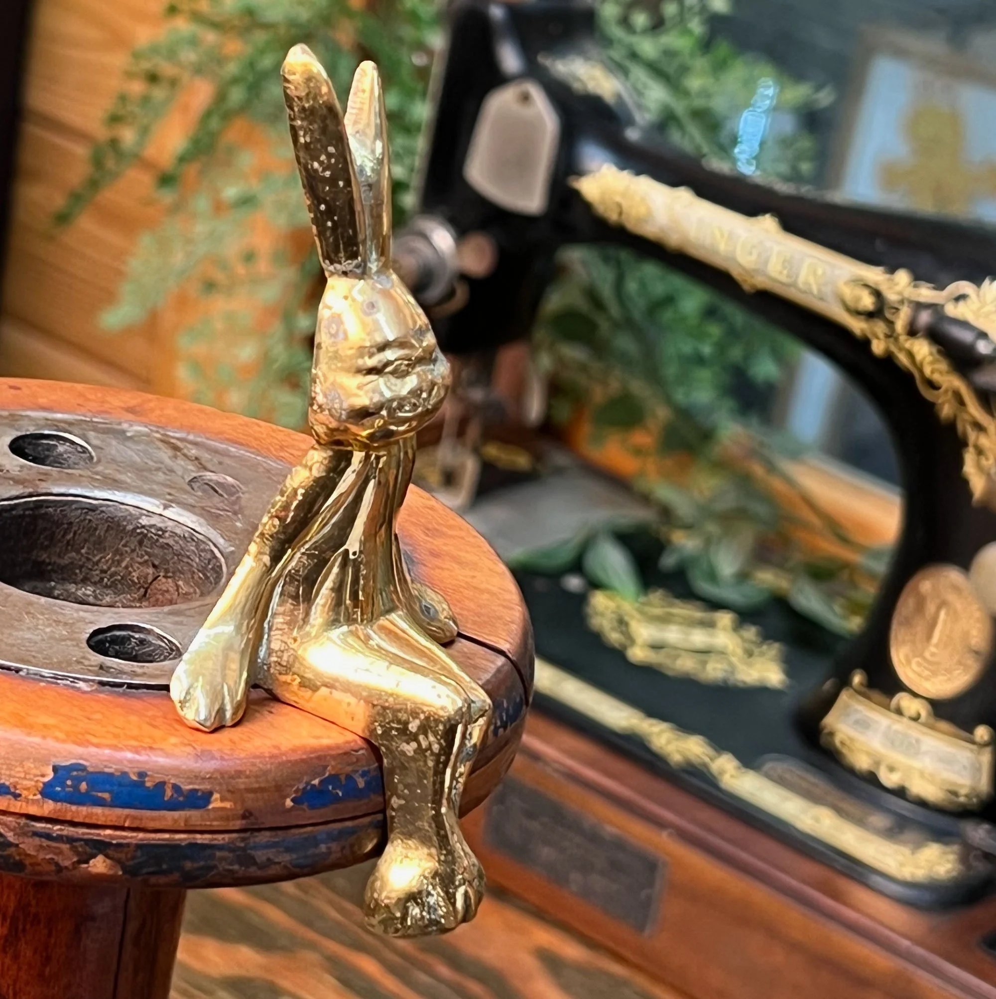 rabbit2-pod82.jpg