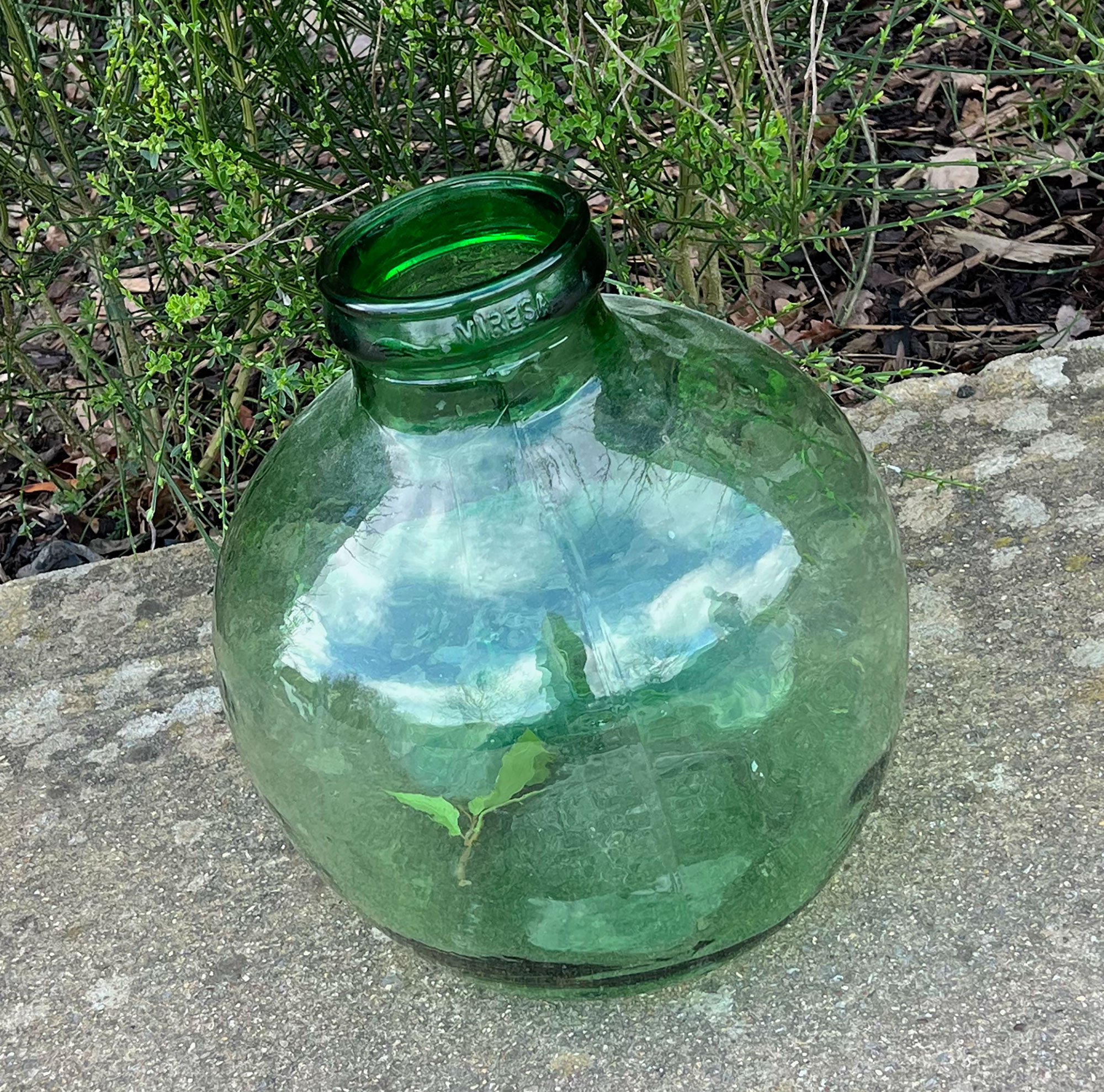 Viresa green glass bottle