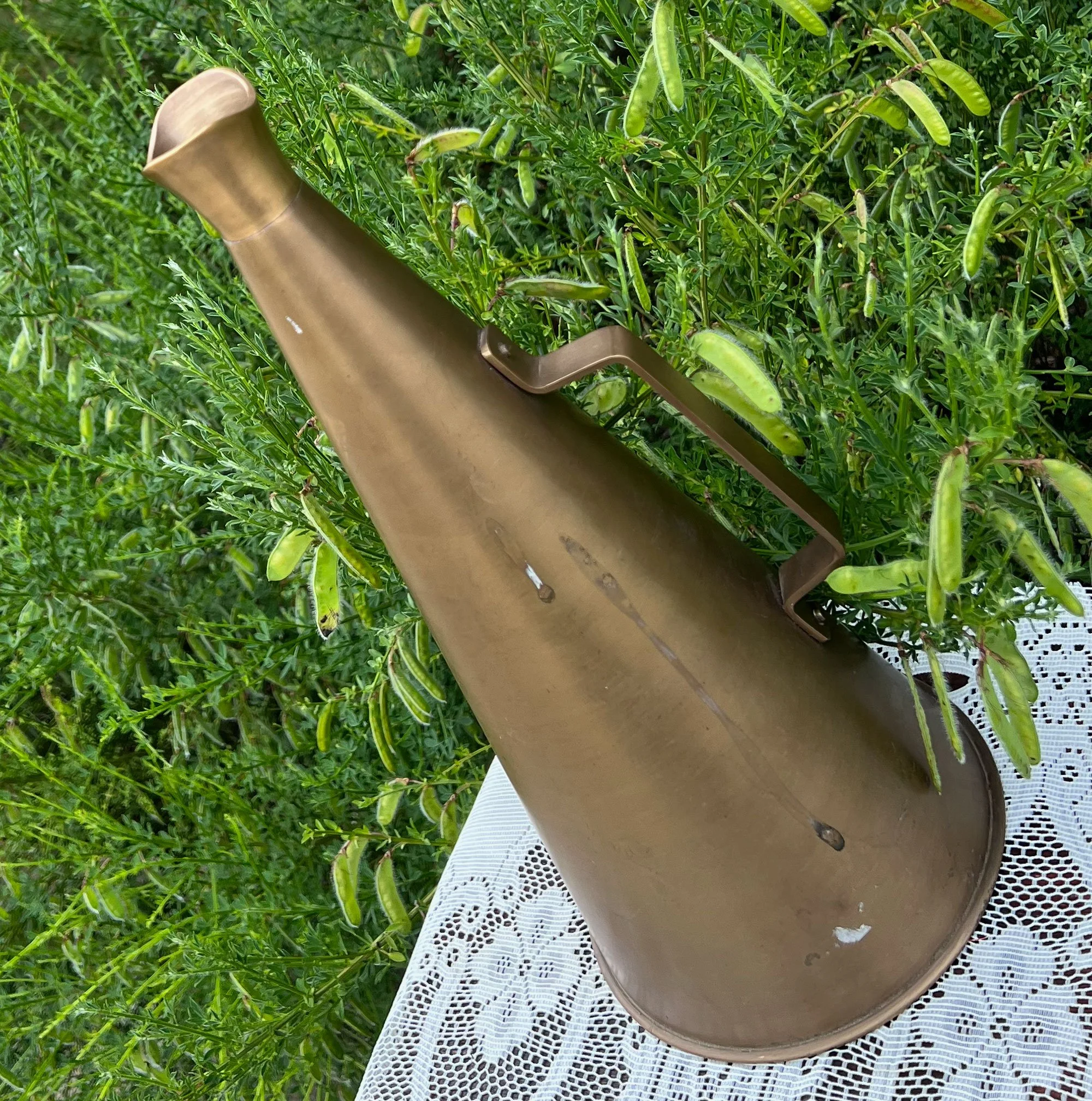 meg2-pod77.jpg