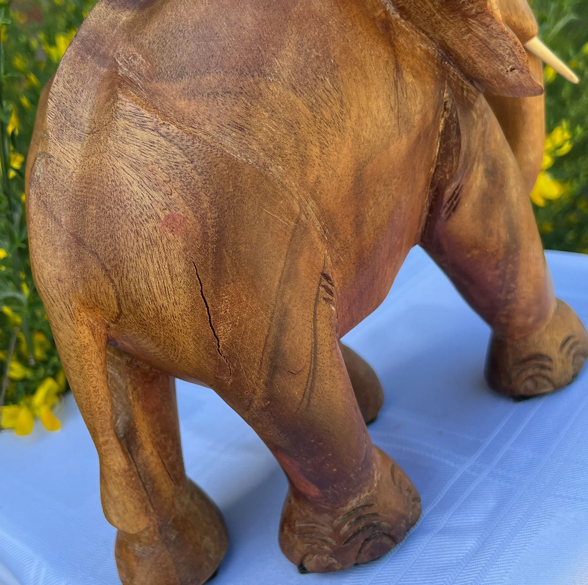 elephant4-pod28.jpg