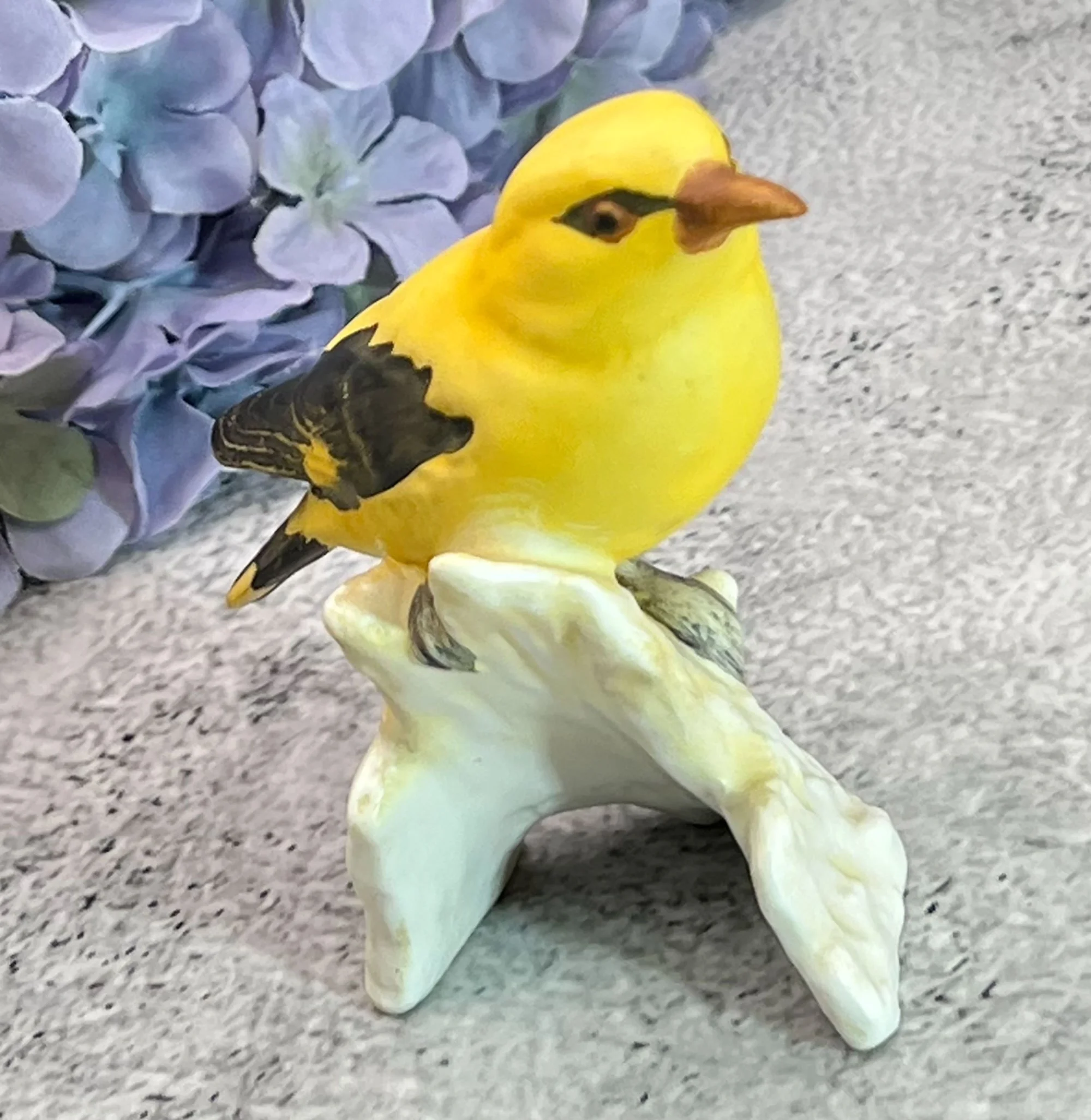 bird-pod36.jpg