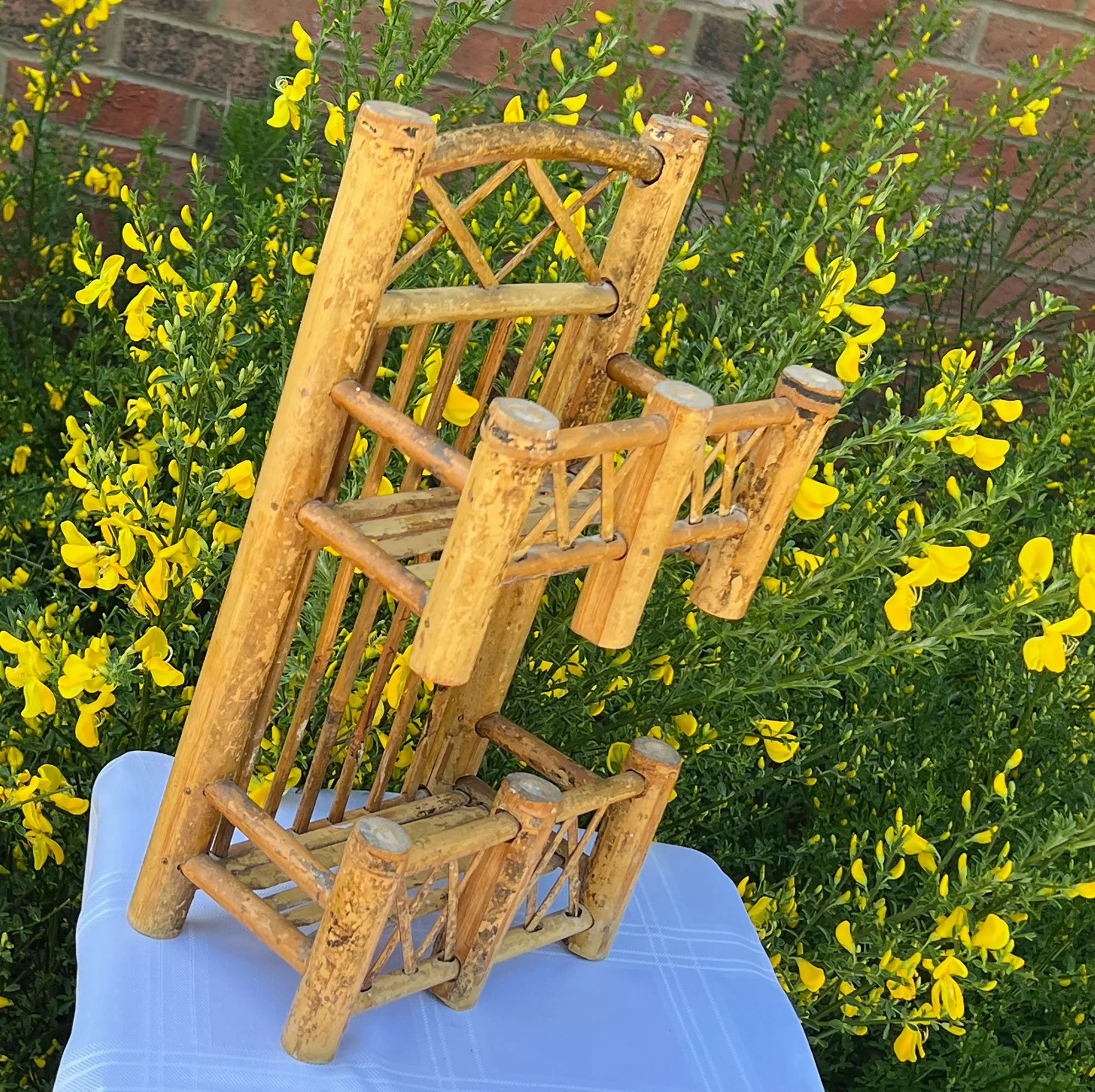 bamboo3-pod75.jpg