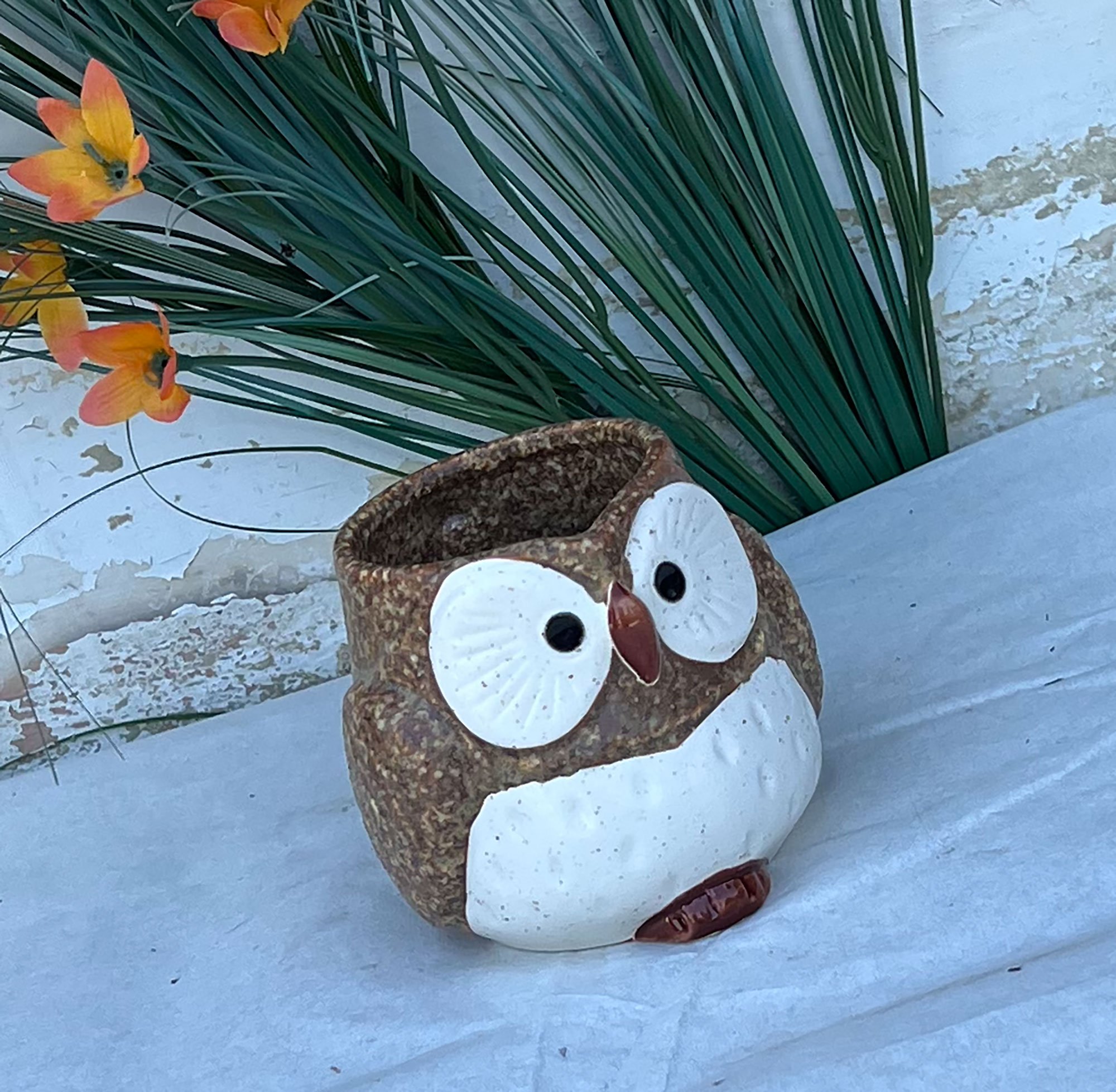 brownowl1-pod28.jpg