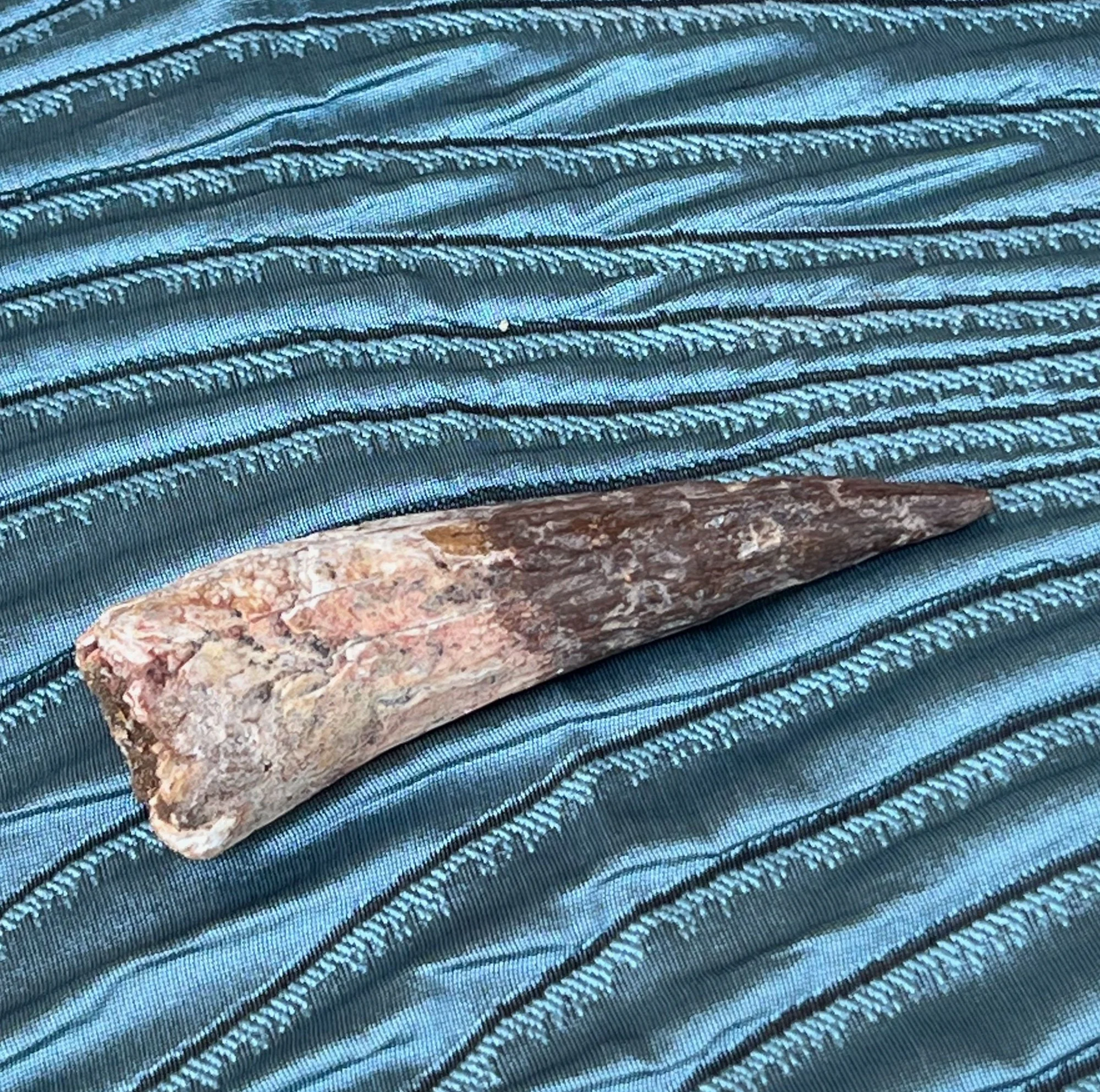 tooth-pod25.jpg