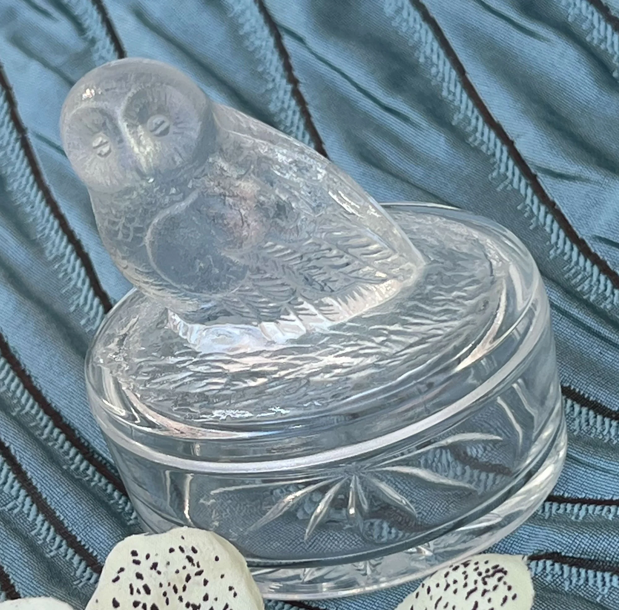 owl-pod60.jpg