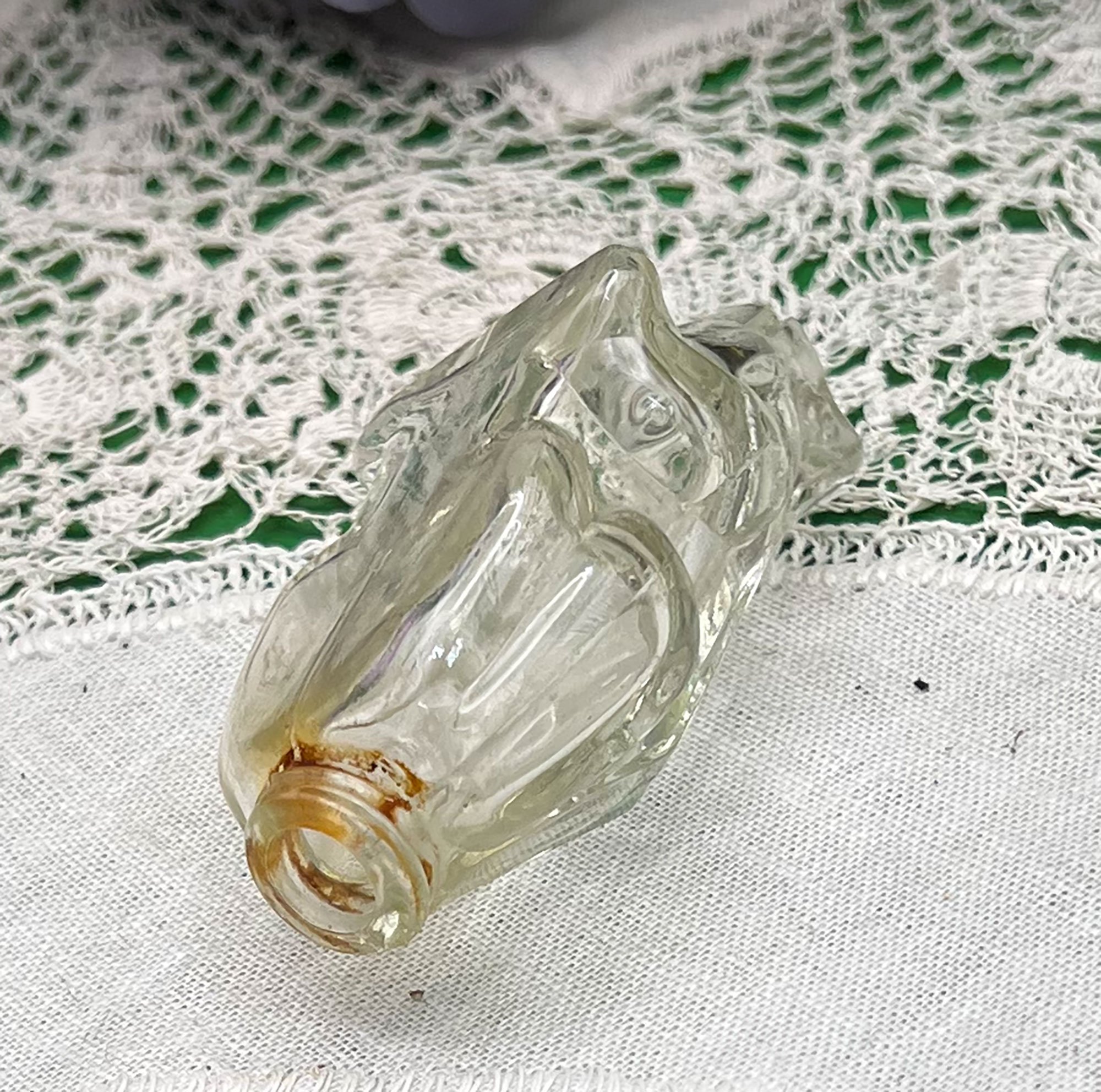 frog2-pod88.jpg