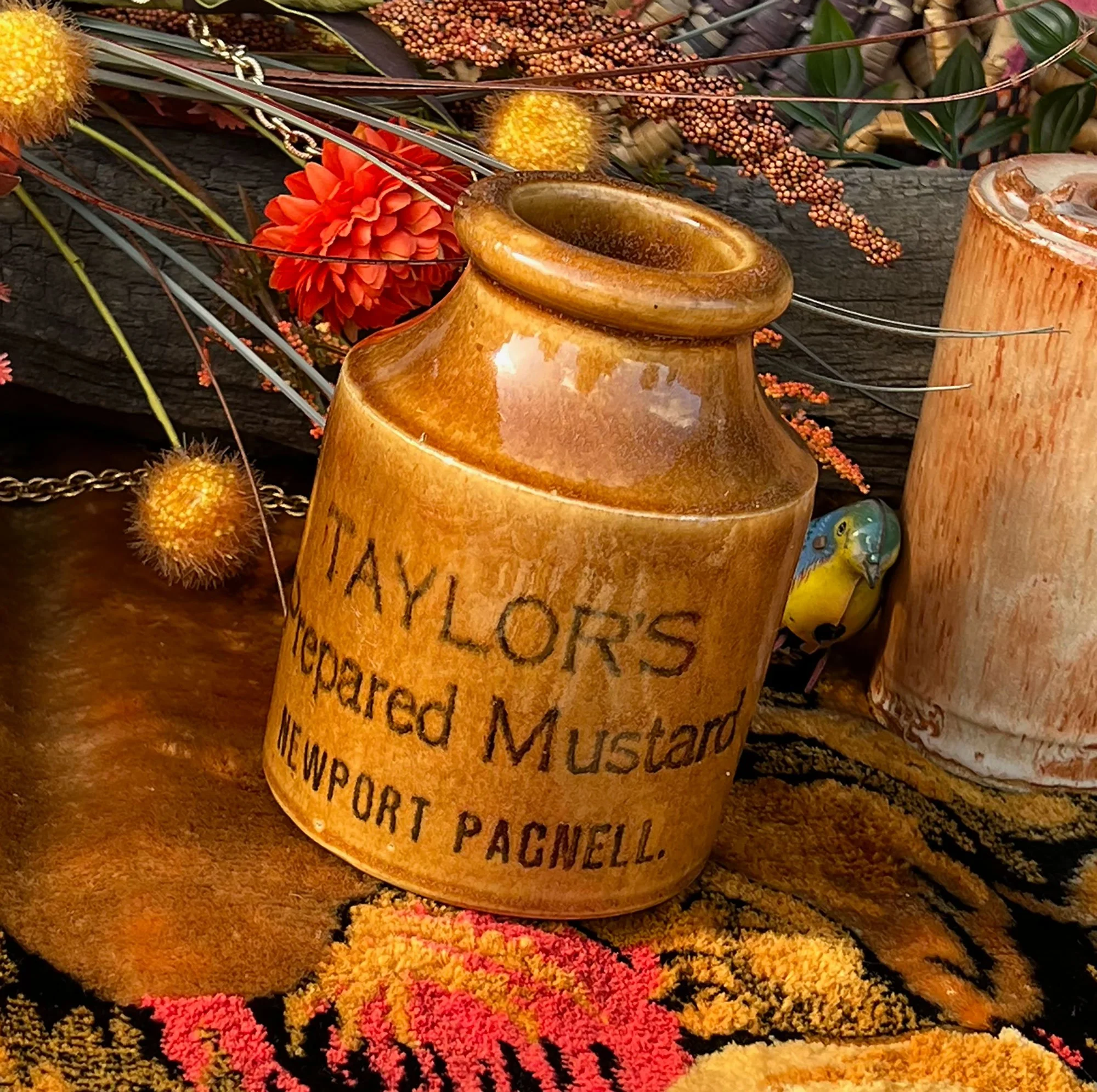 taylors-pod41.jpg