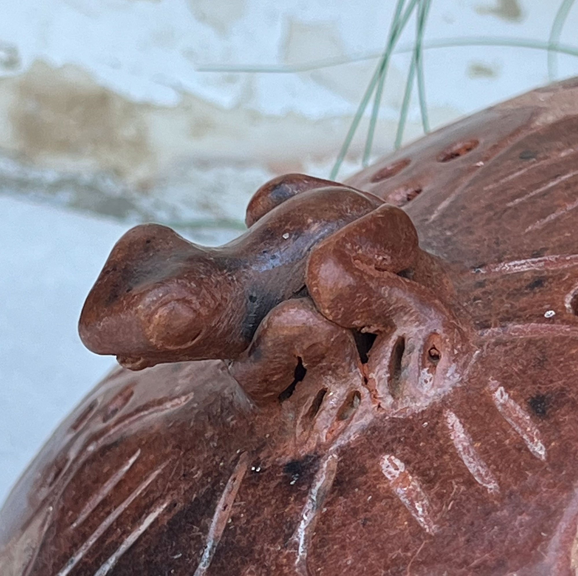 frogpot3-pod27.jpg