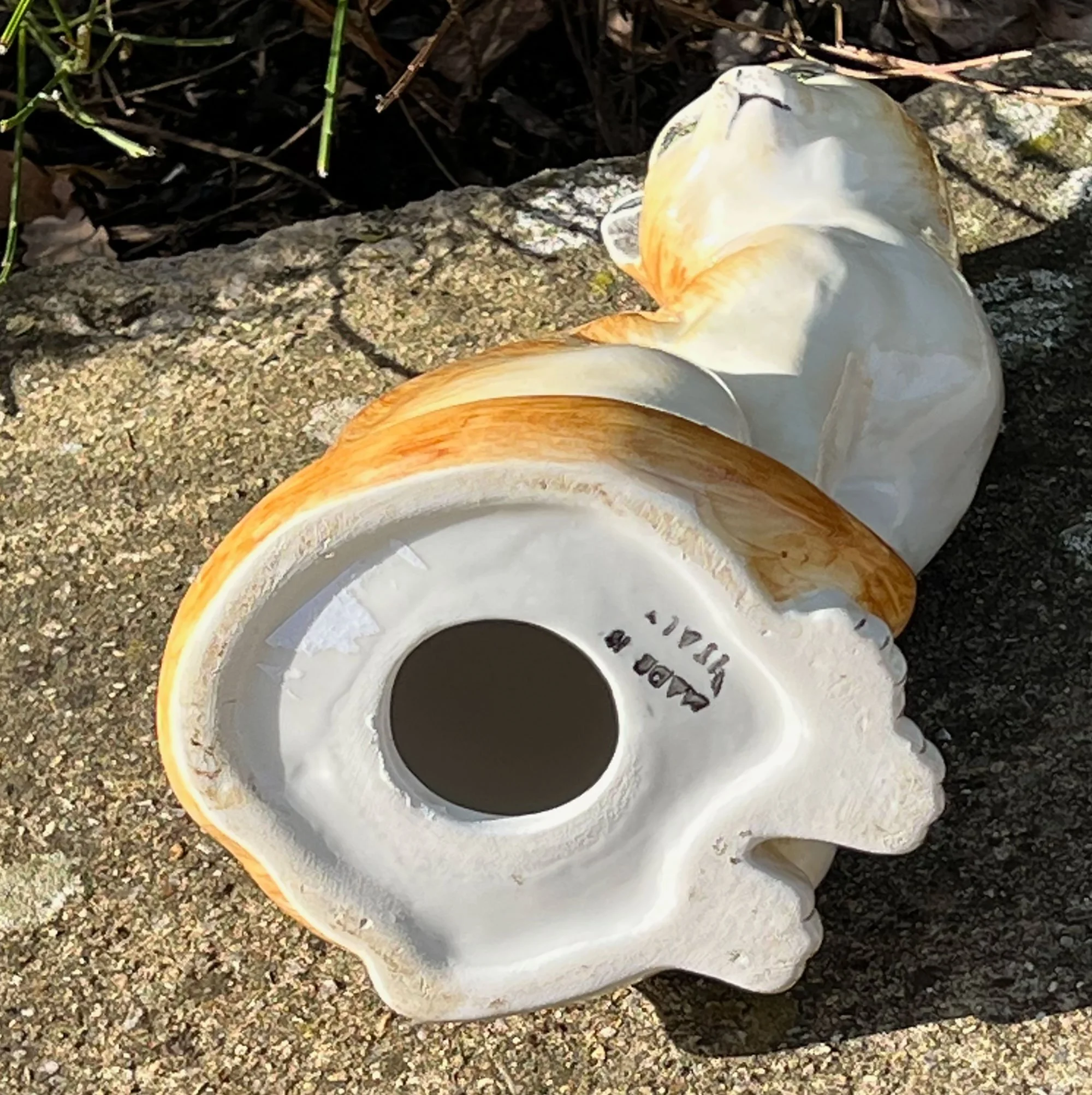 cat3-pod69.jpg