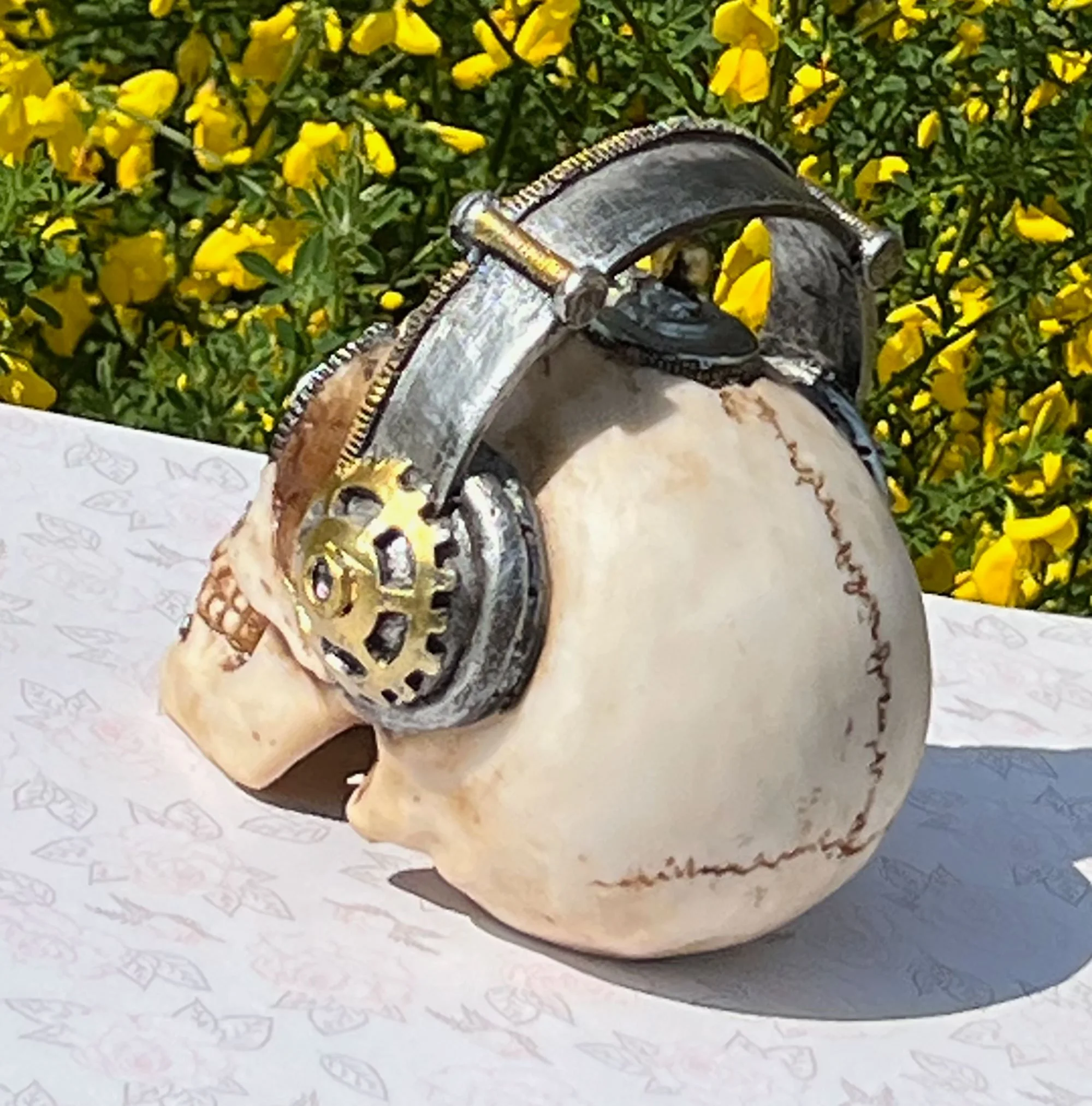 skull2-pod12.jpg
