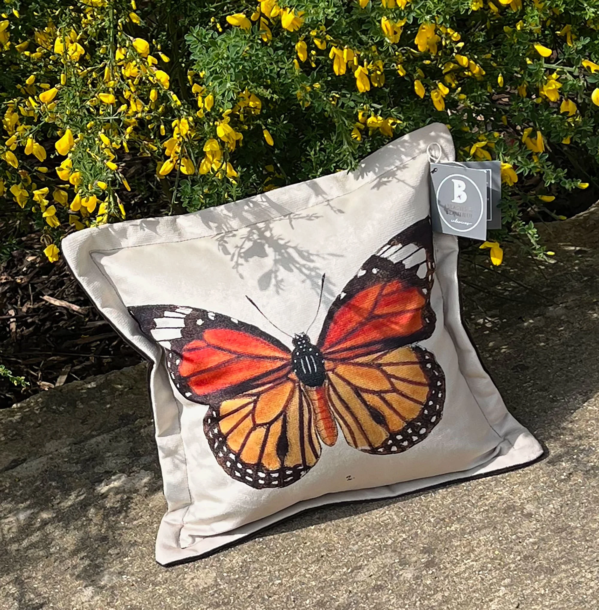 Butterfly Cushion