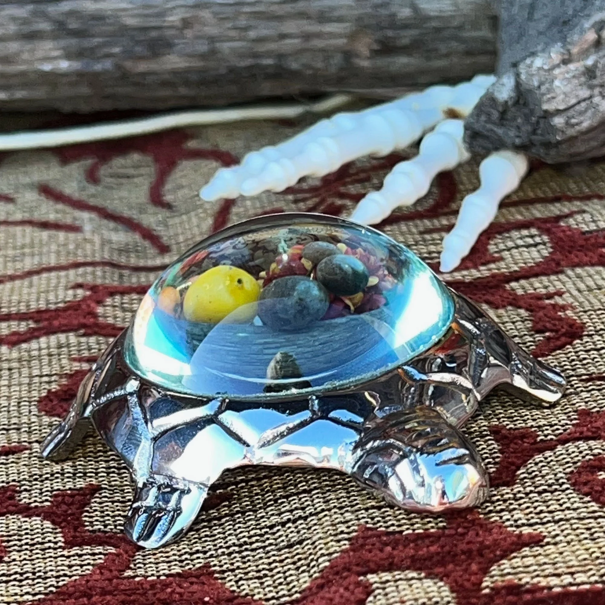 tortoise3.jpg