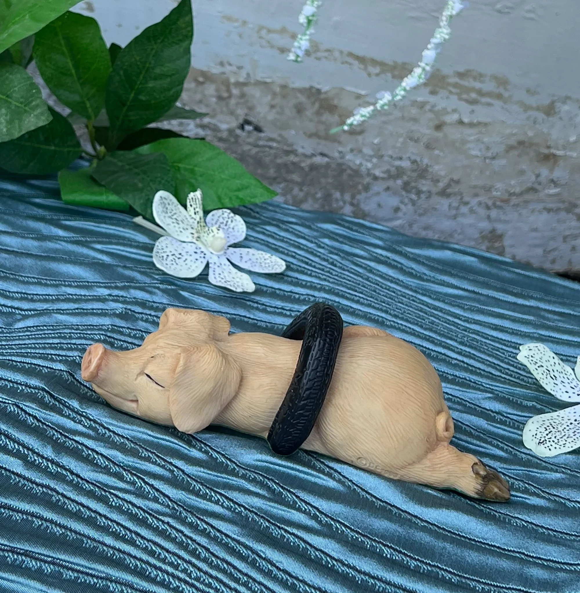 Piggin tired