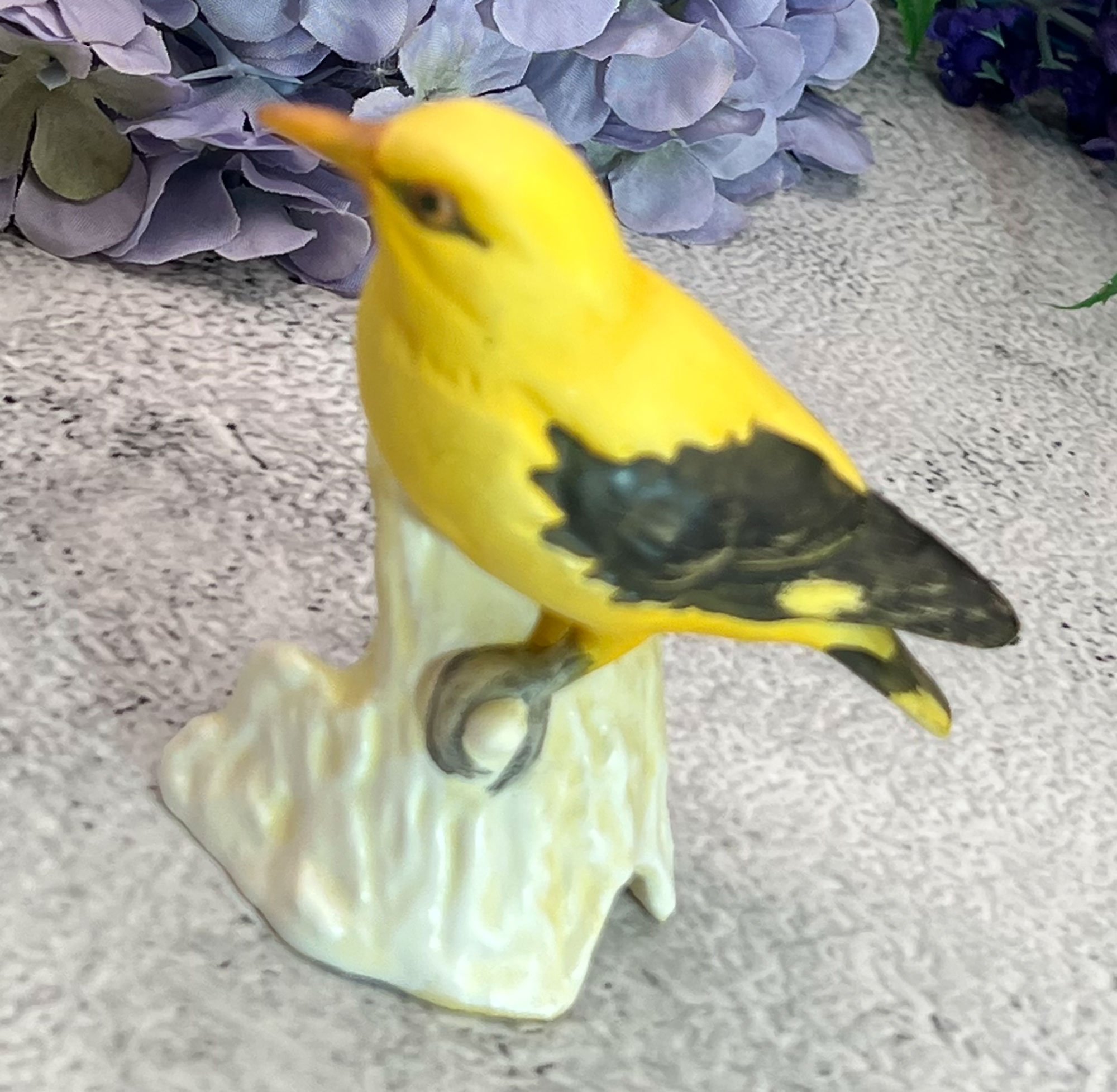bird2-pod36.jpg