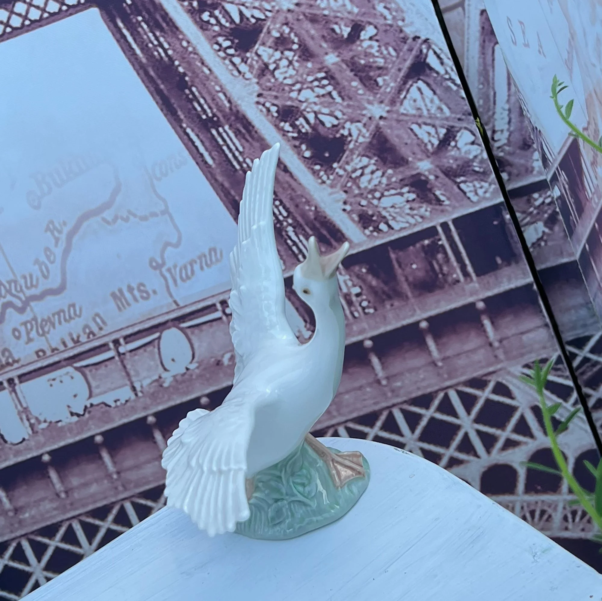 lgoose2-pod106a.jpg