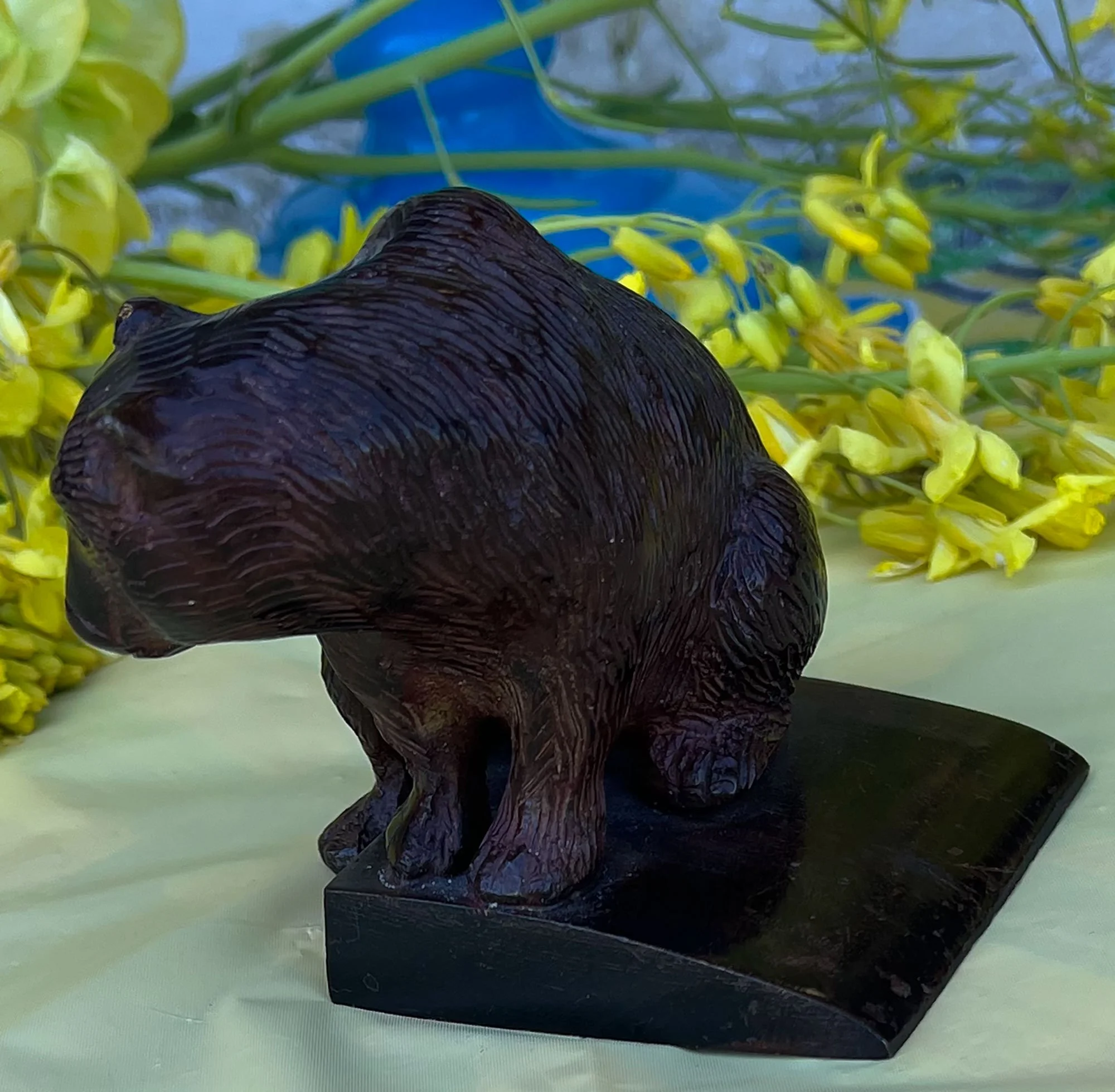 bear2-pod36.jpg