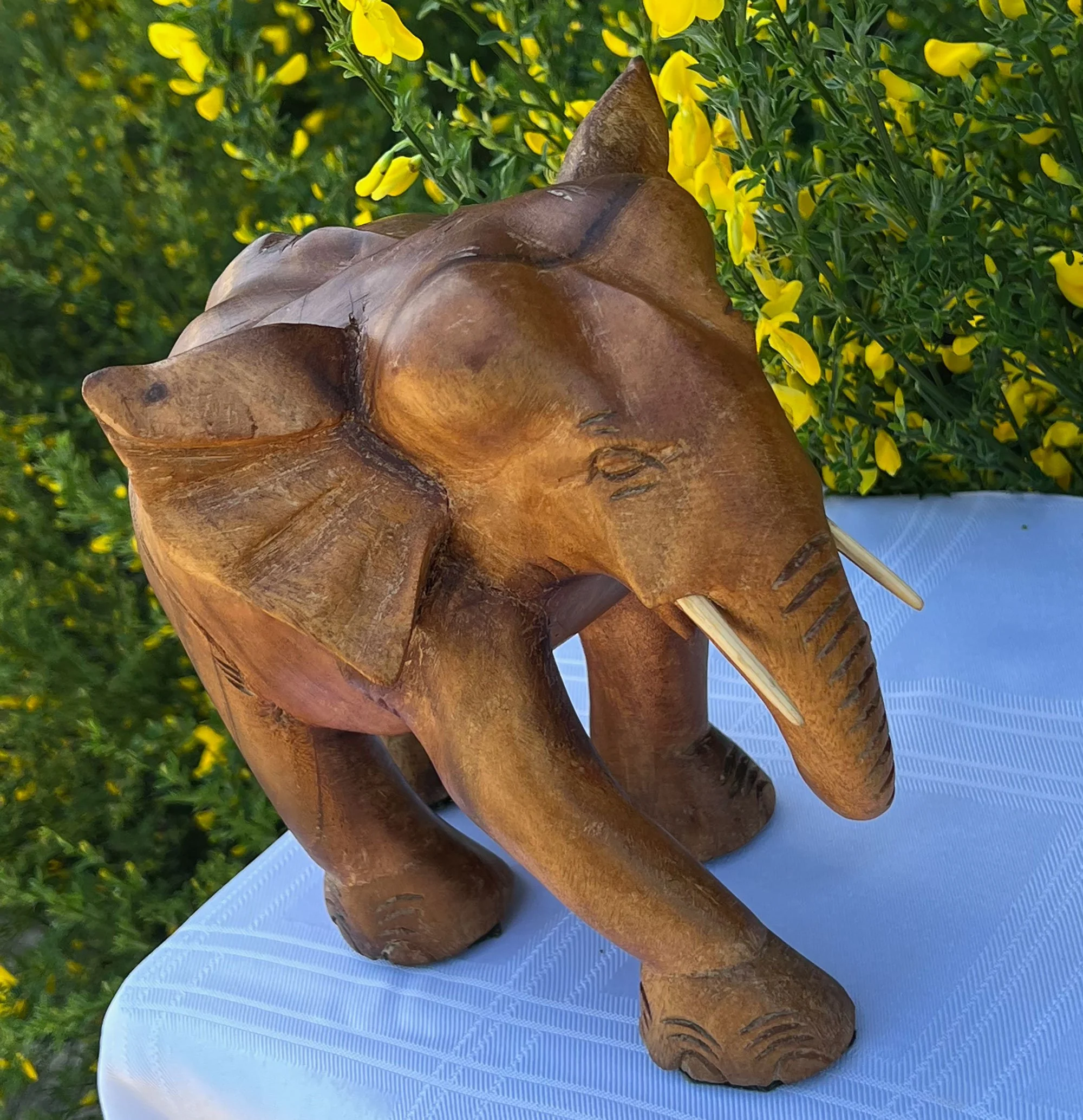 elephant3-pod28.jpg