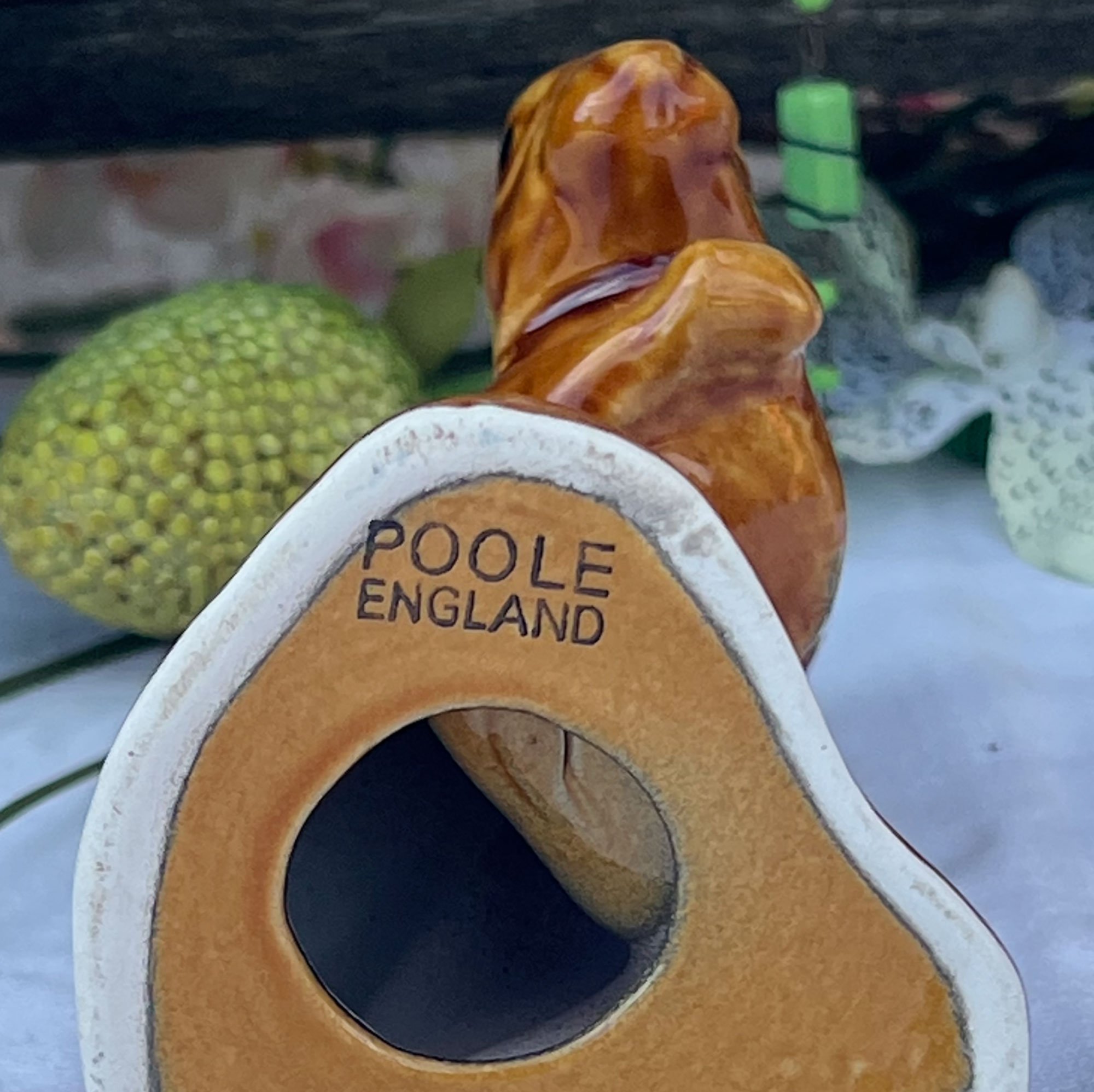 squirrel3-pod82.jpg