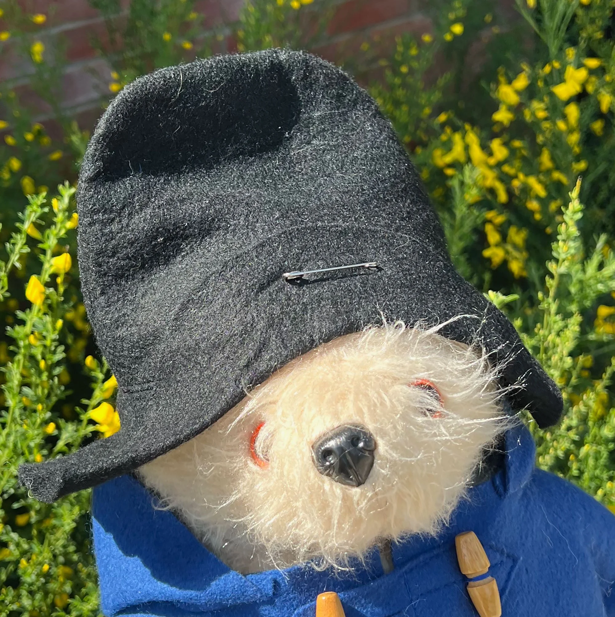 paddington3-pod19B.jpg
