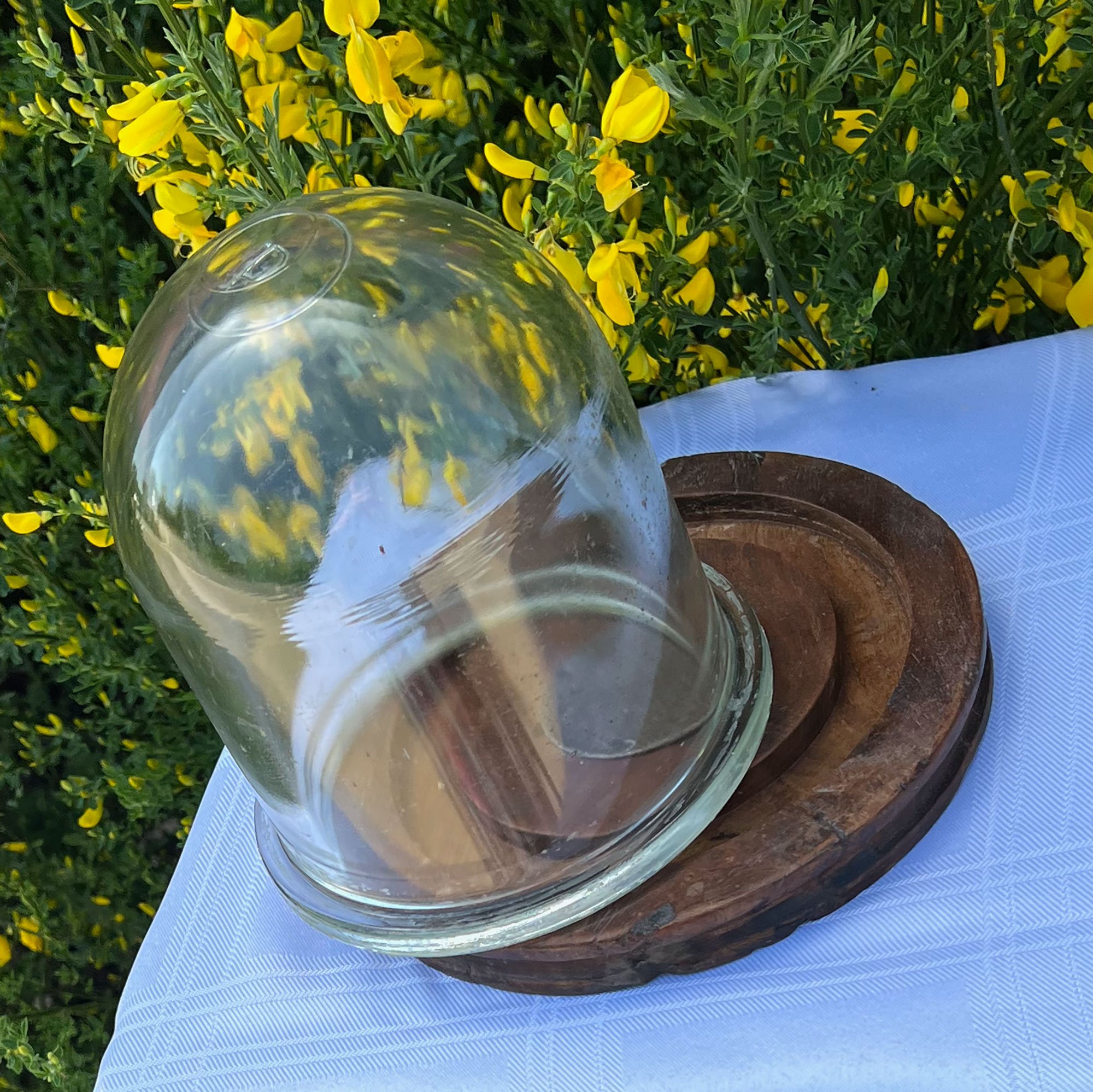 dome2-pod75.jpg