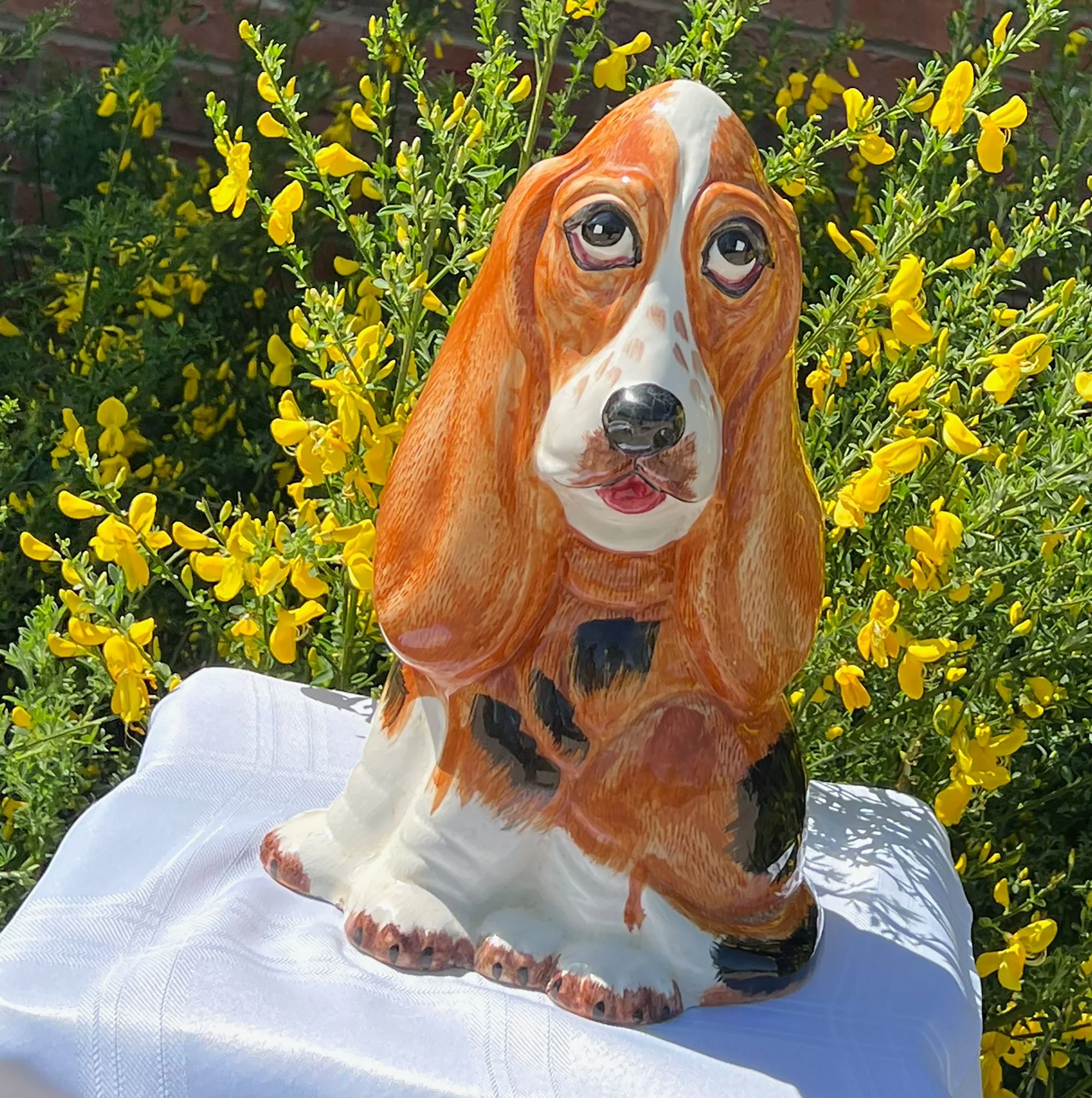 dog-pod44.jpg