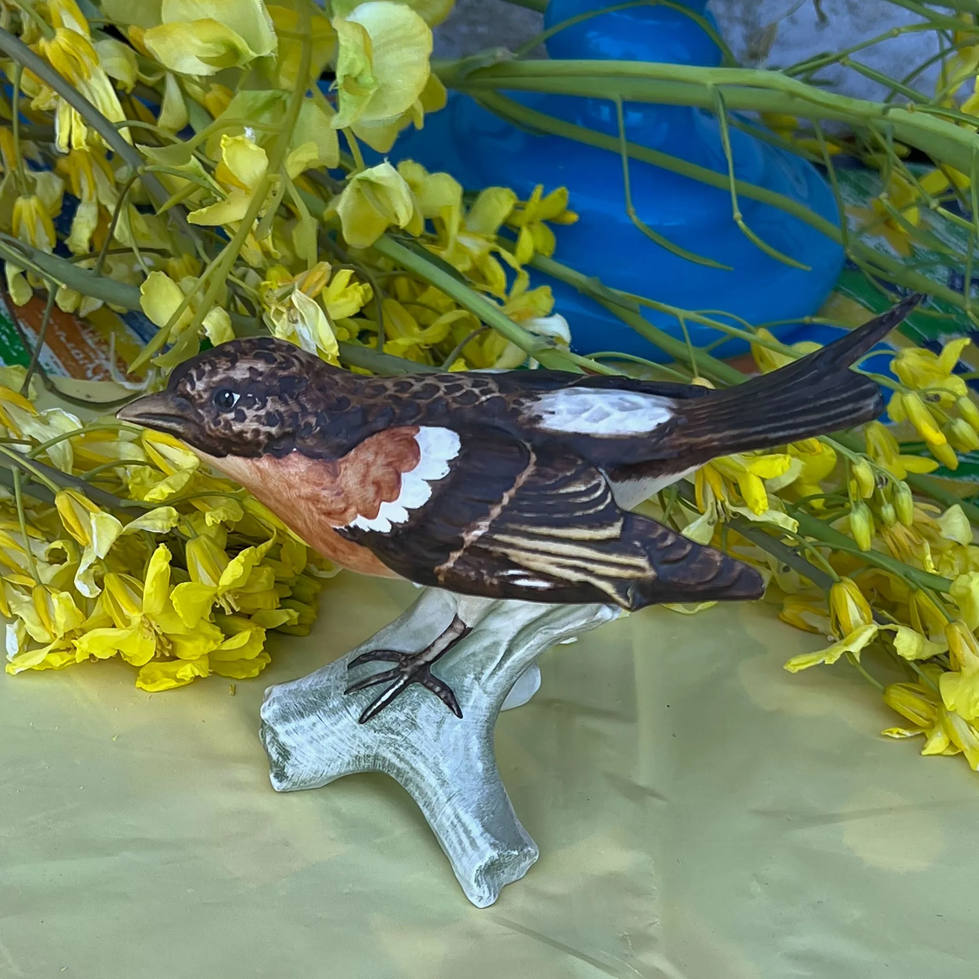 bird-pod36.jpg