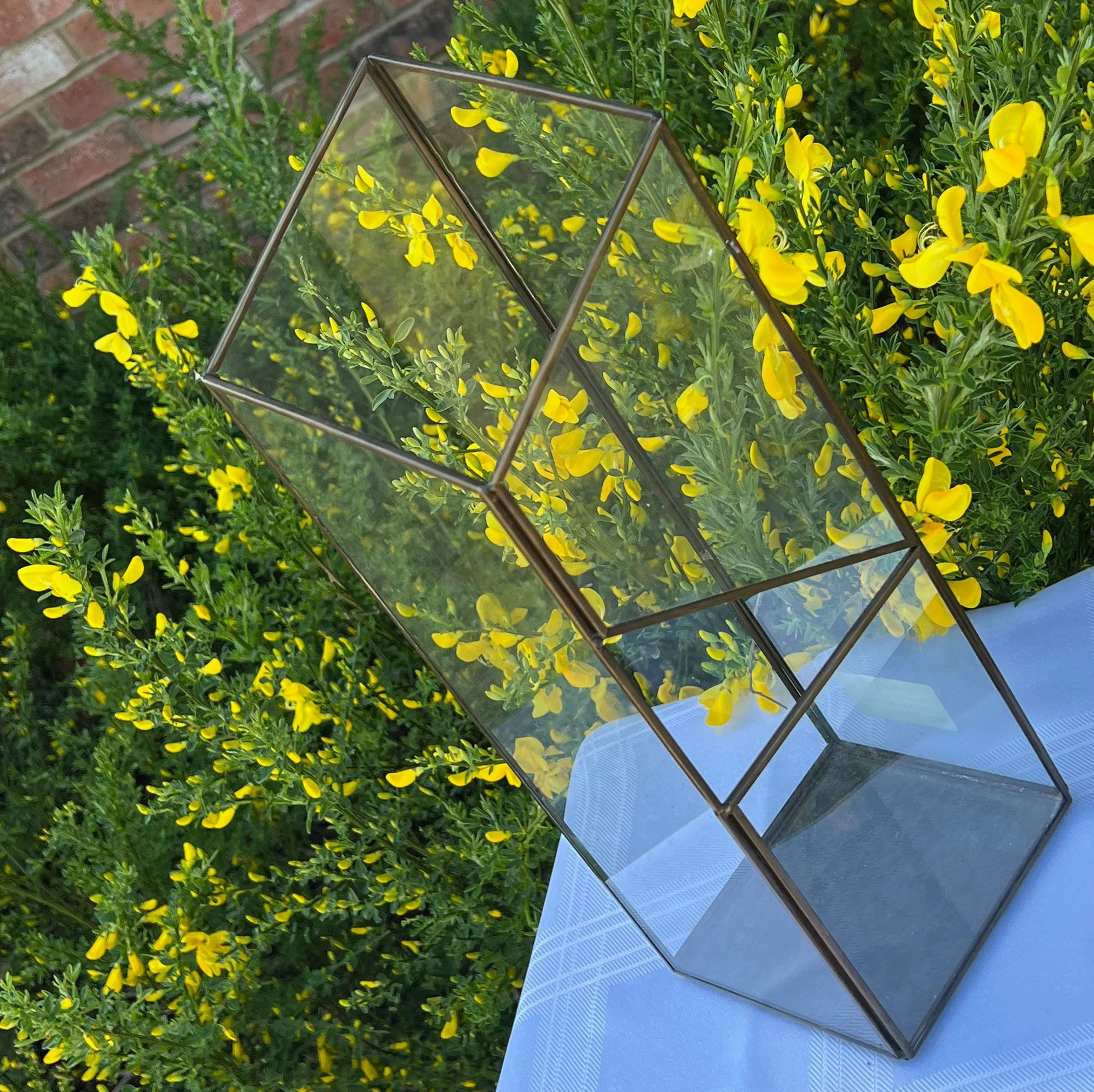 terrarium2-pod28.jpg