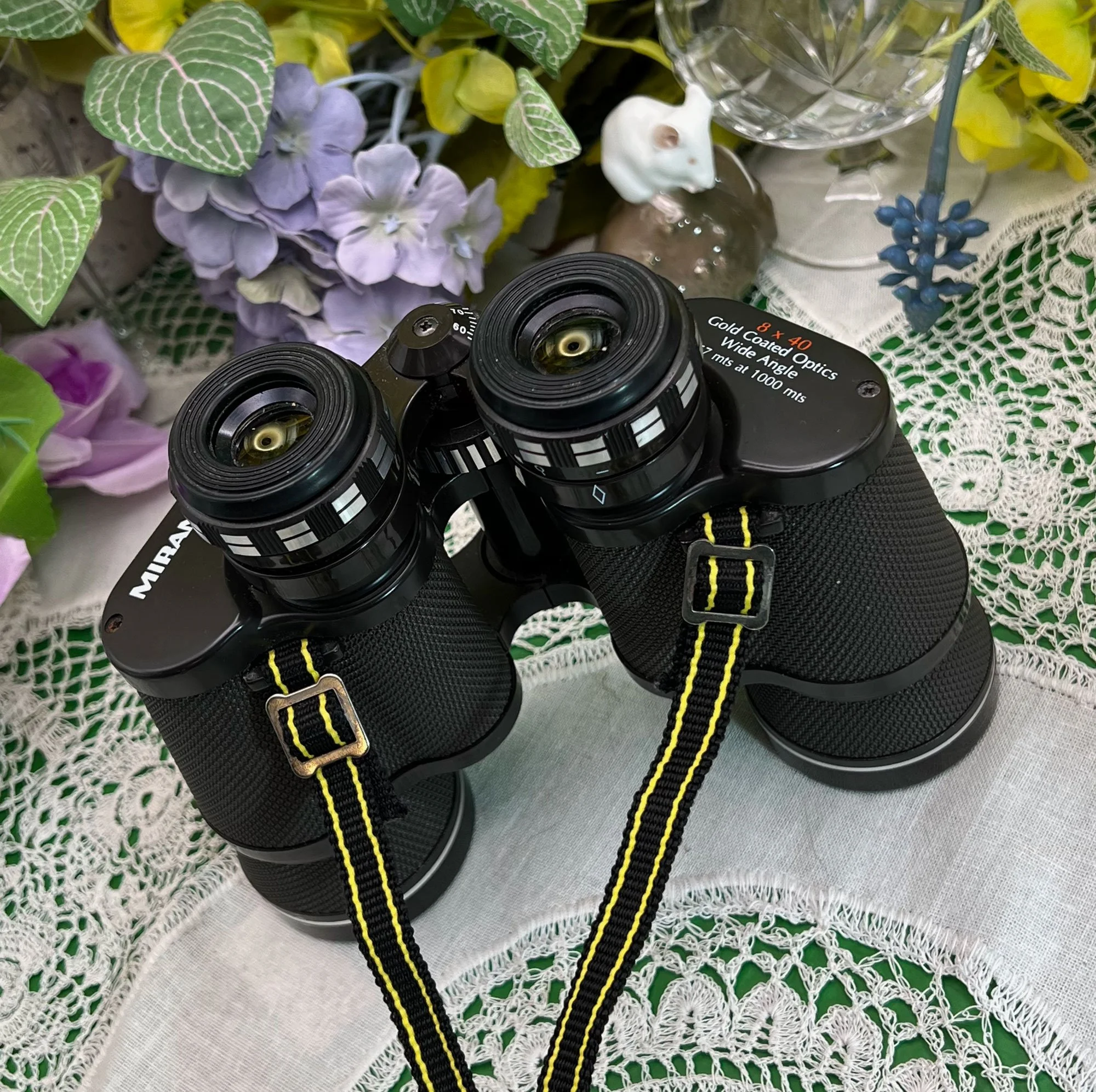 binoc.jpg