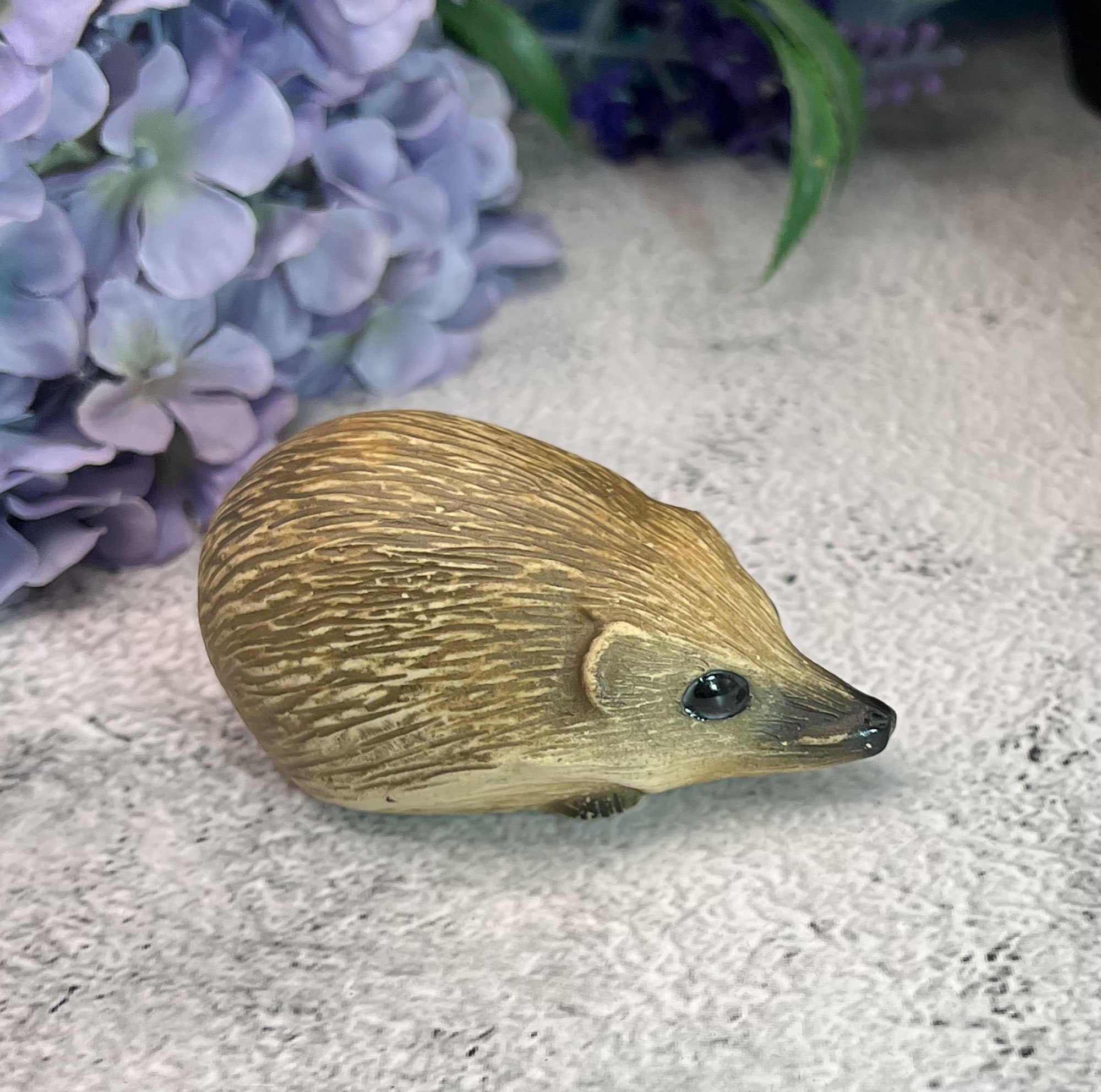 hedgehog2-pod69.jpg