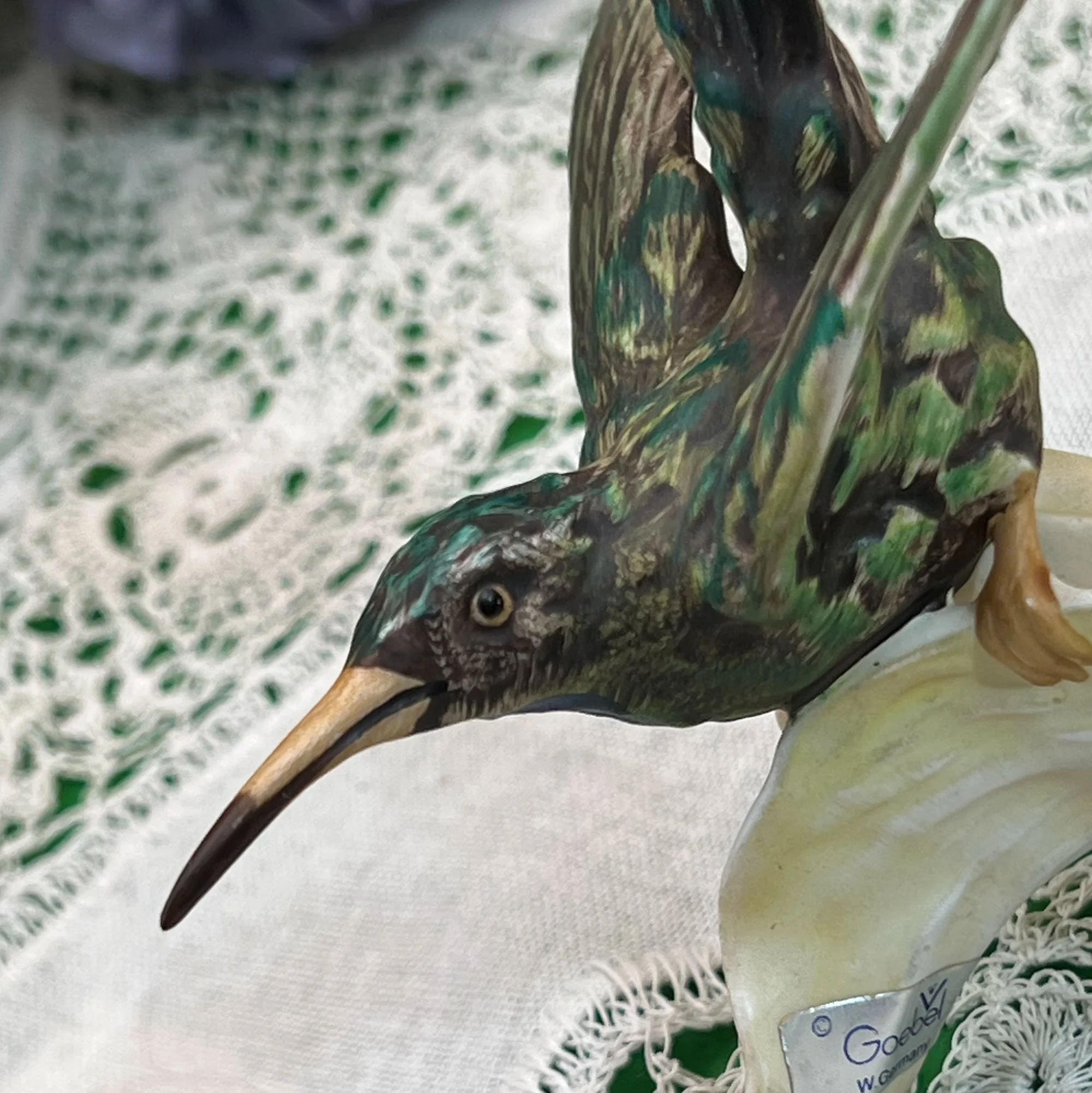 bird3-pod36.jpg