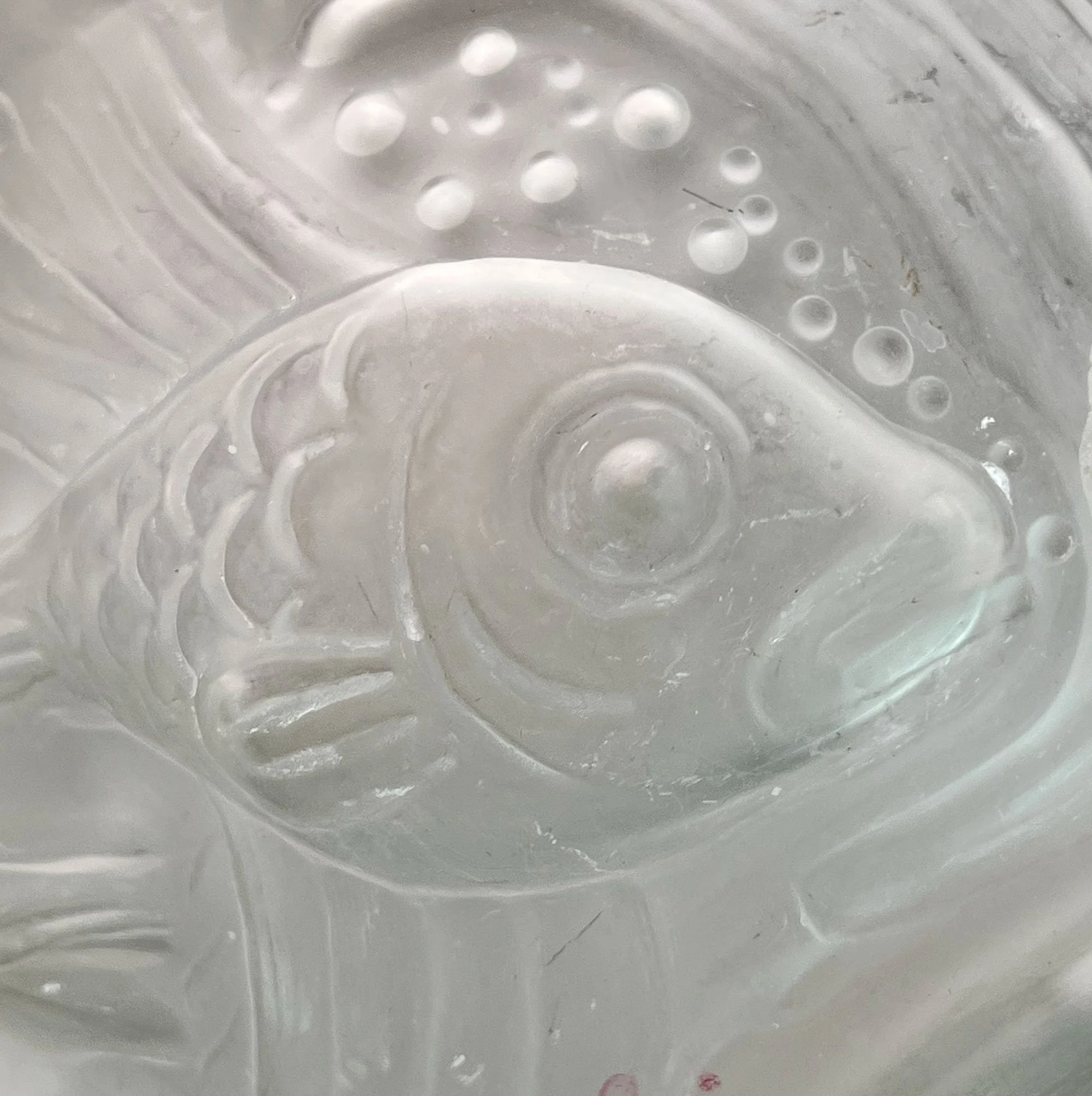 fish4.jpg