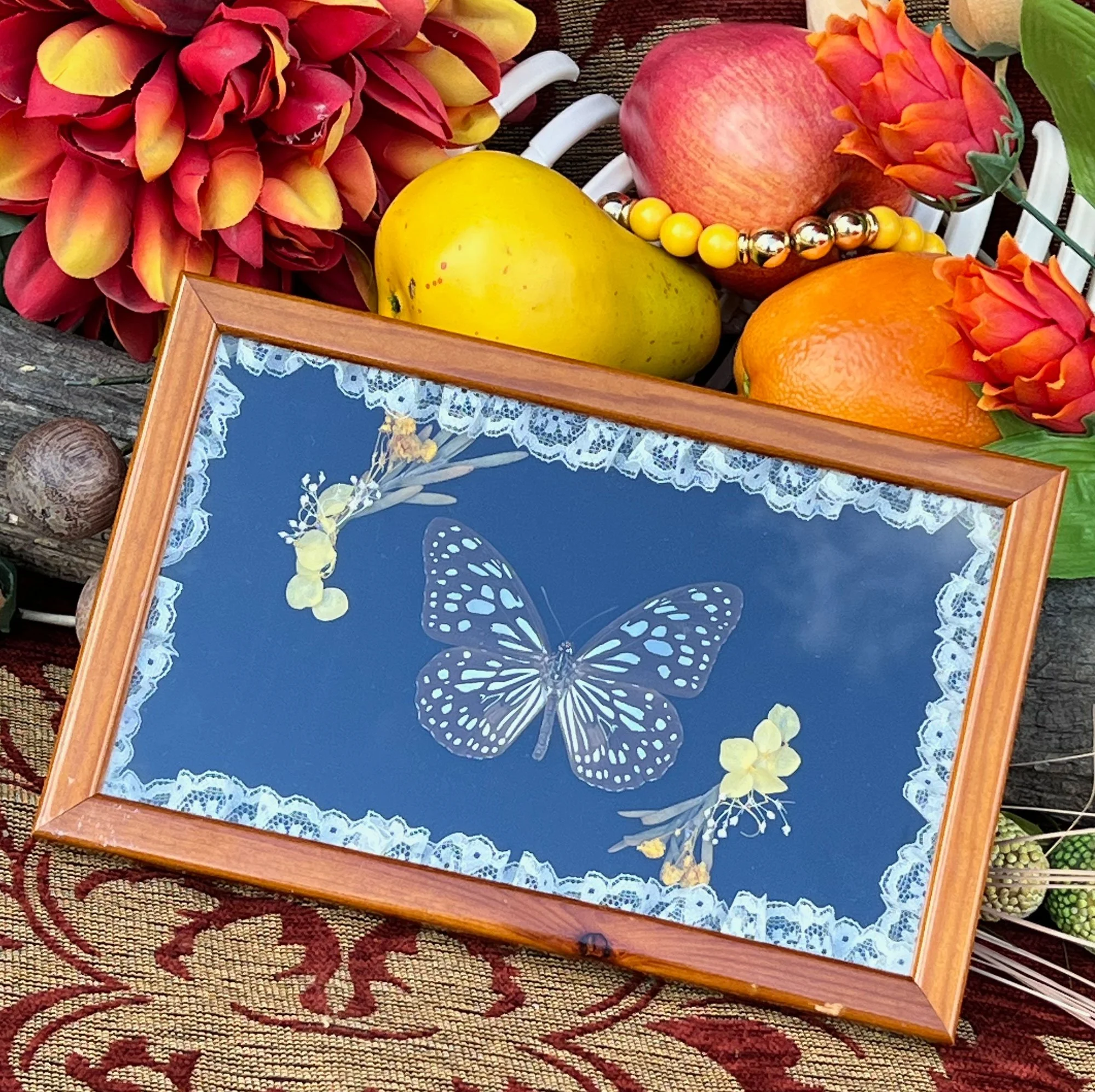 Tiger Butterfly Framed