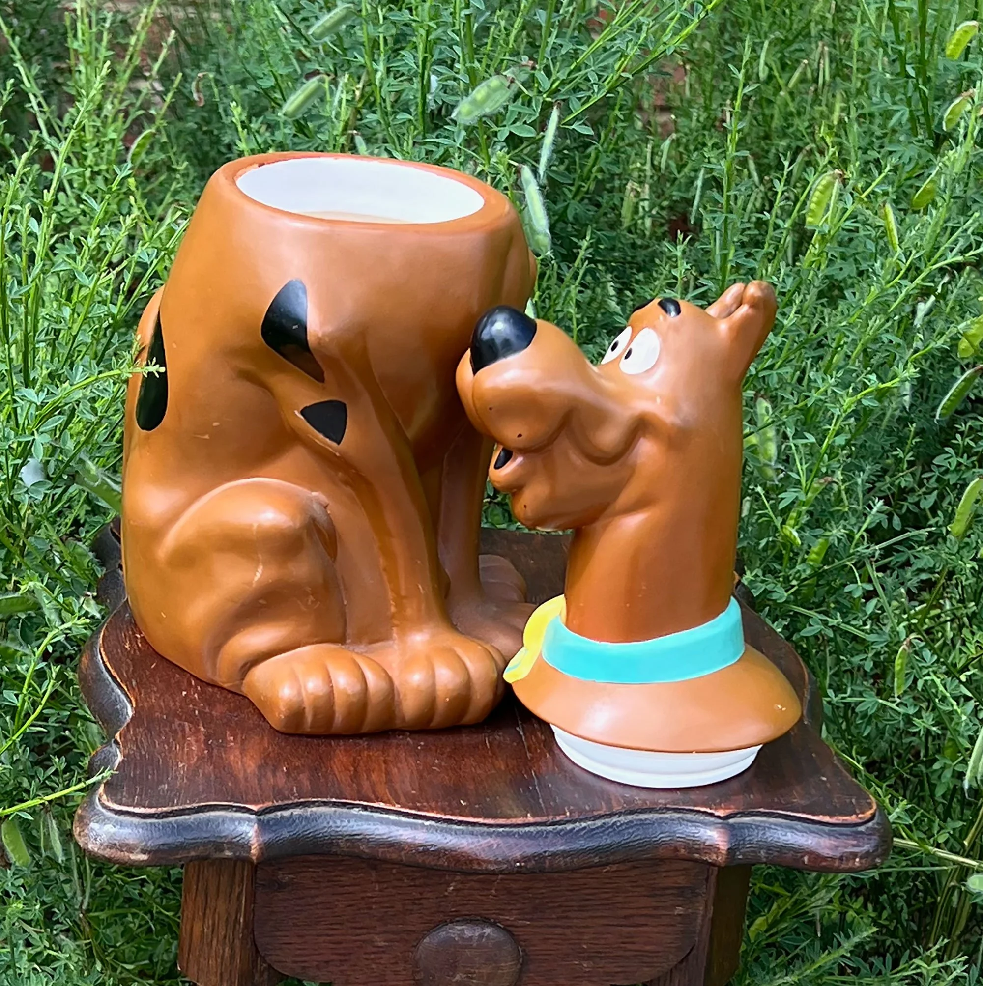 scooby2-pod21.jpg