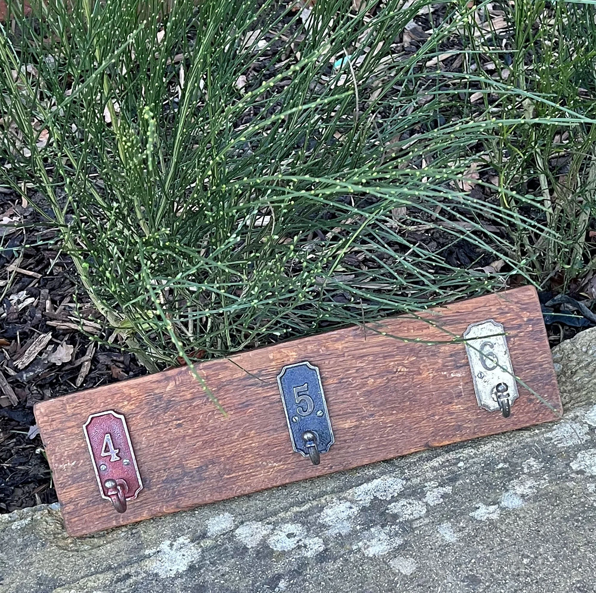Rustic style coat hooks