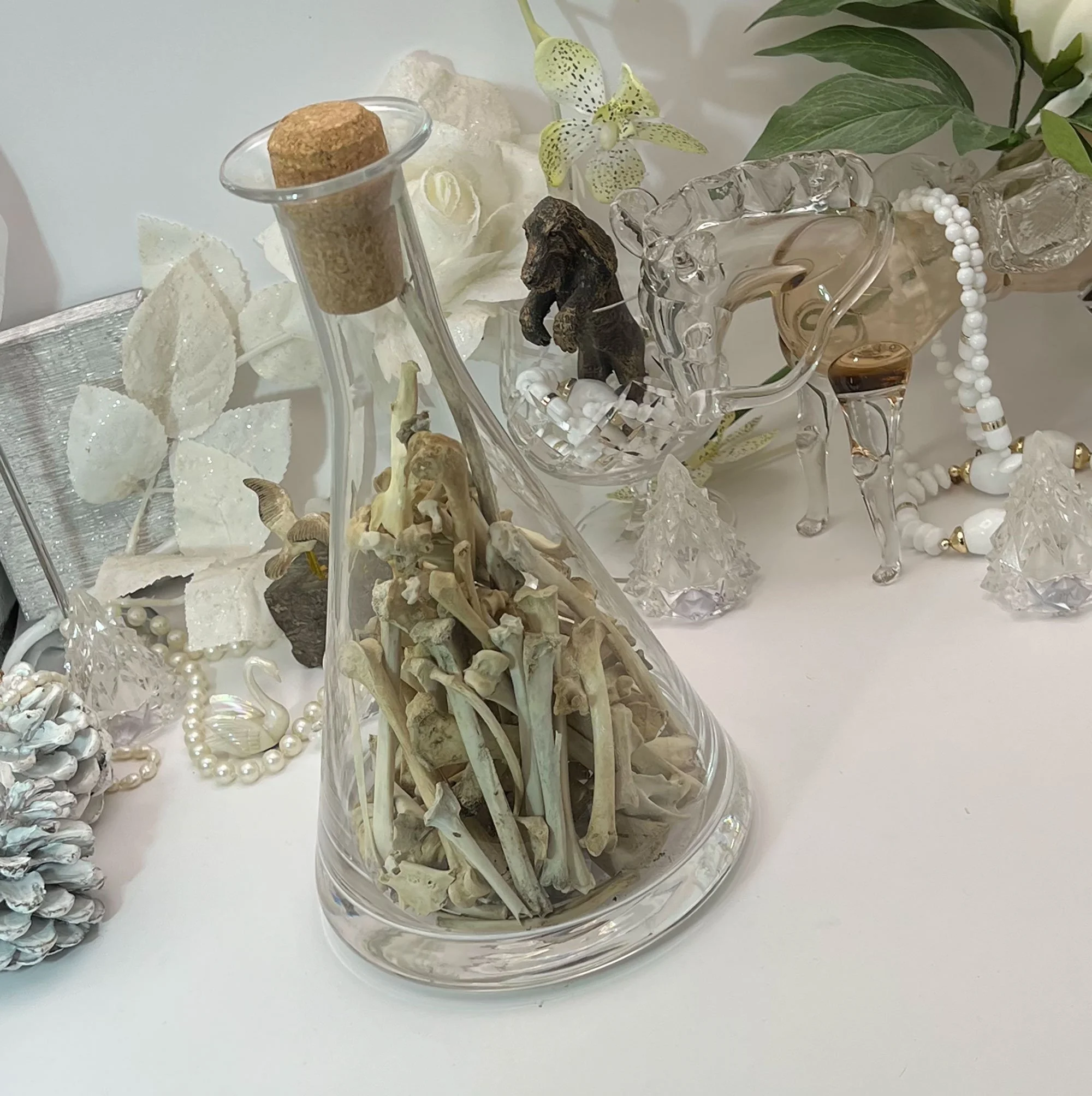 Conical glass jar filled with rabbit bones
