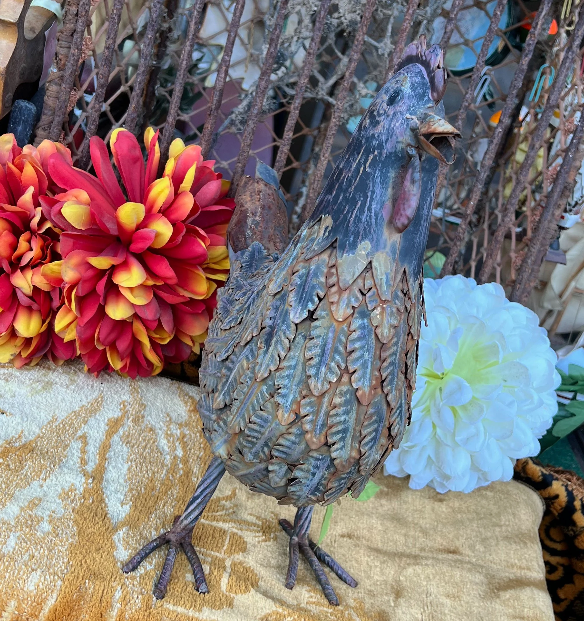 chicken2-pod60.jpg