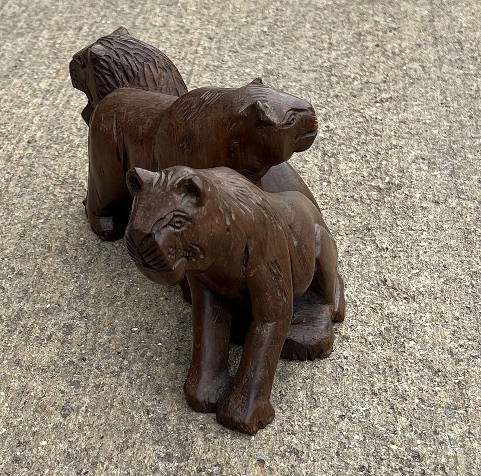 lion2-pod53.jpg