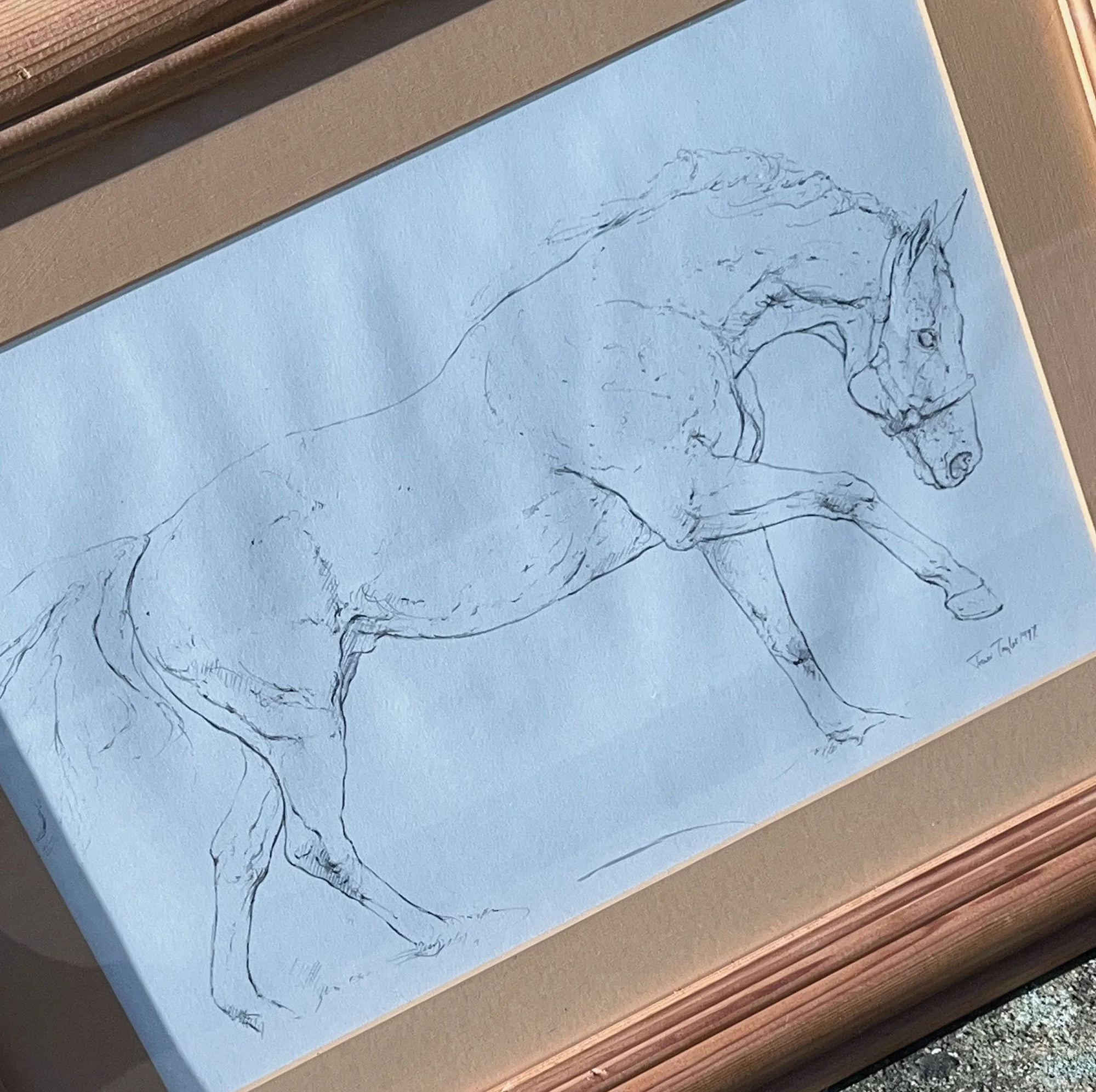 horse3-pod69.jpg