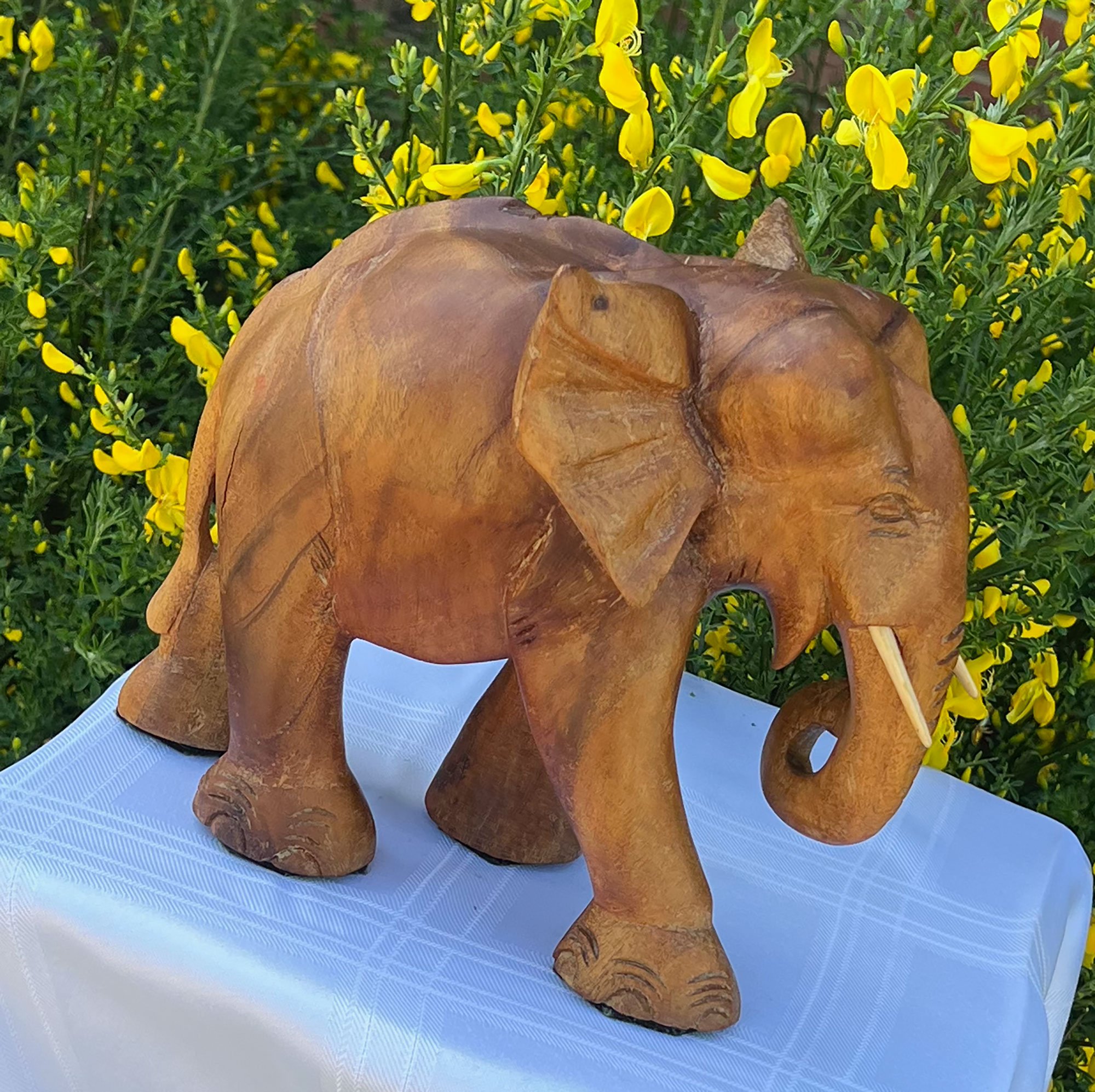 elephant2-pod28.jpg