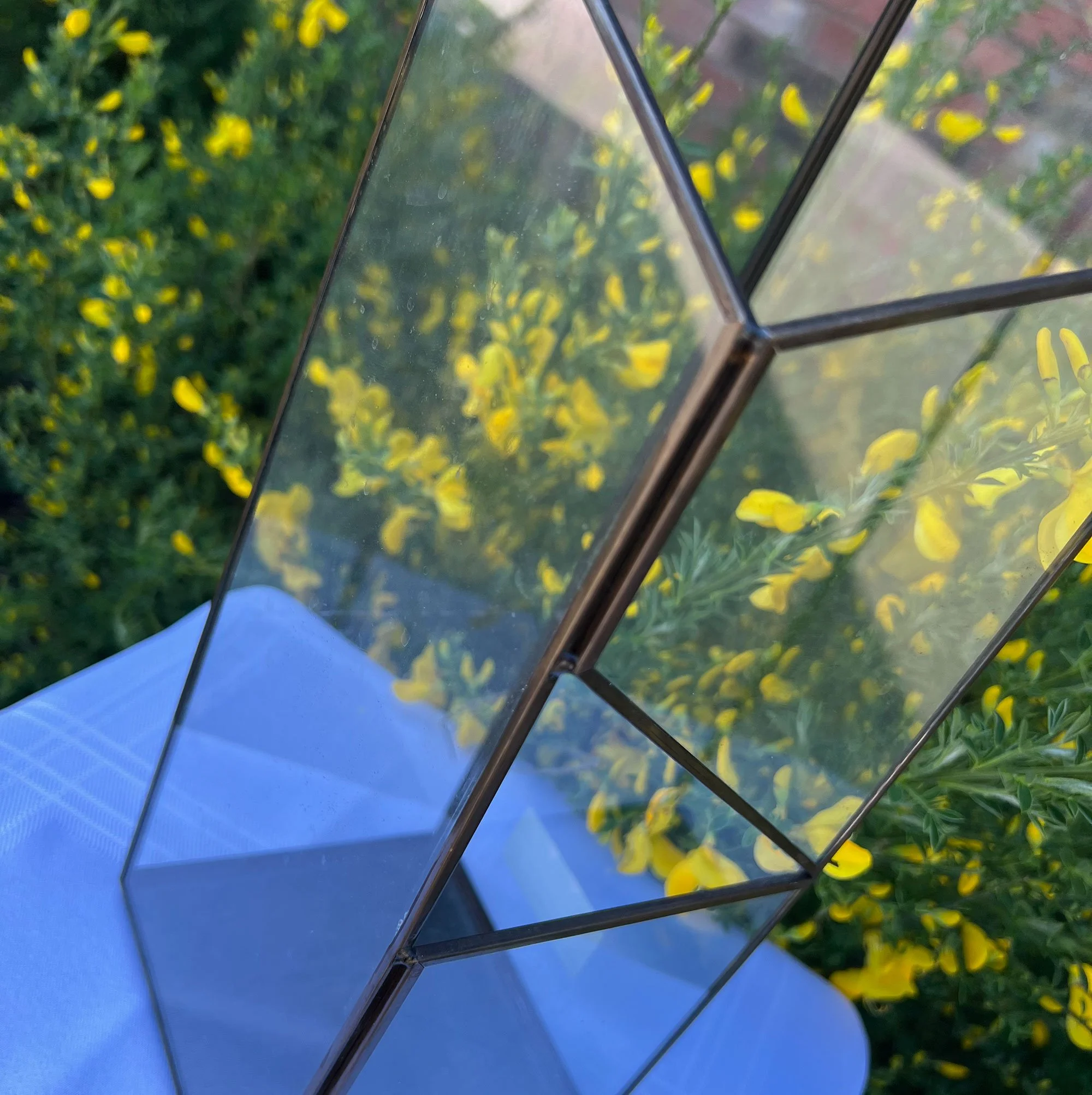 terrarium3-pod28.jpg