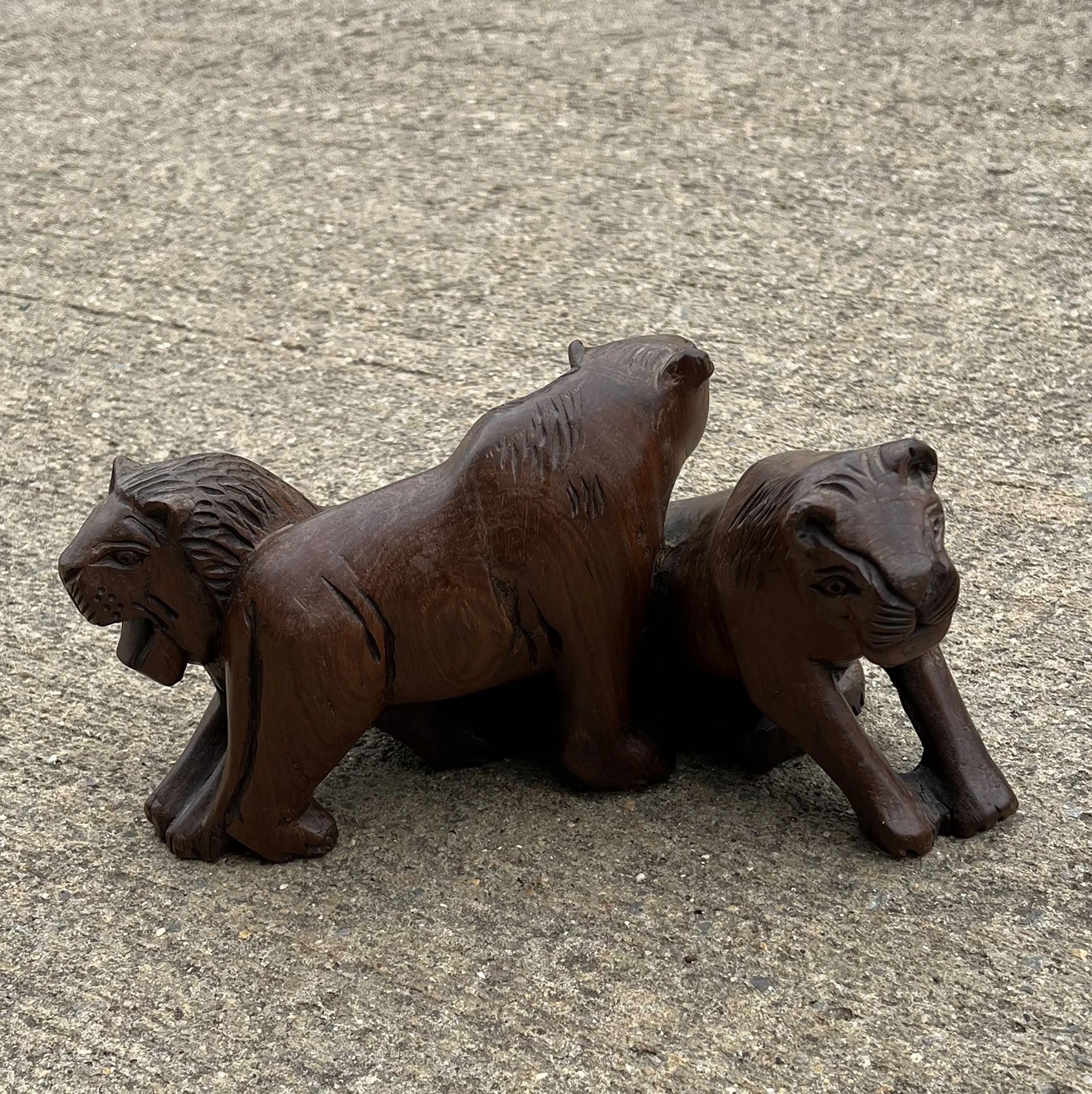 Wood Lion Group