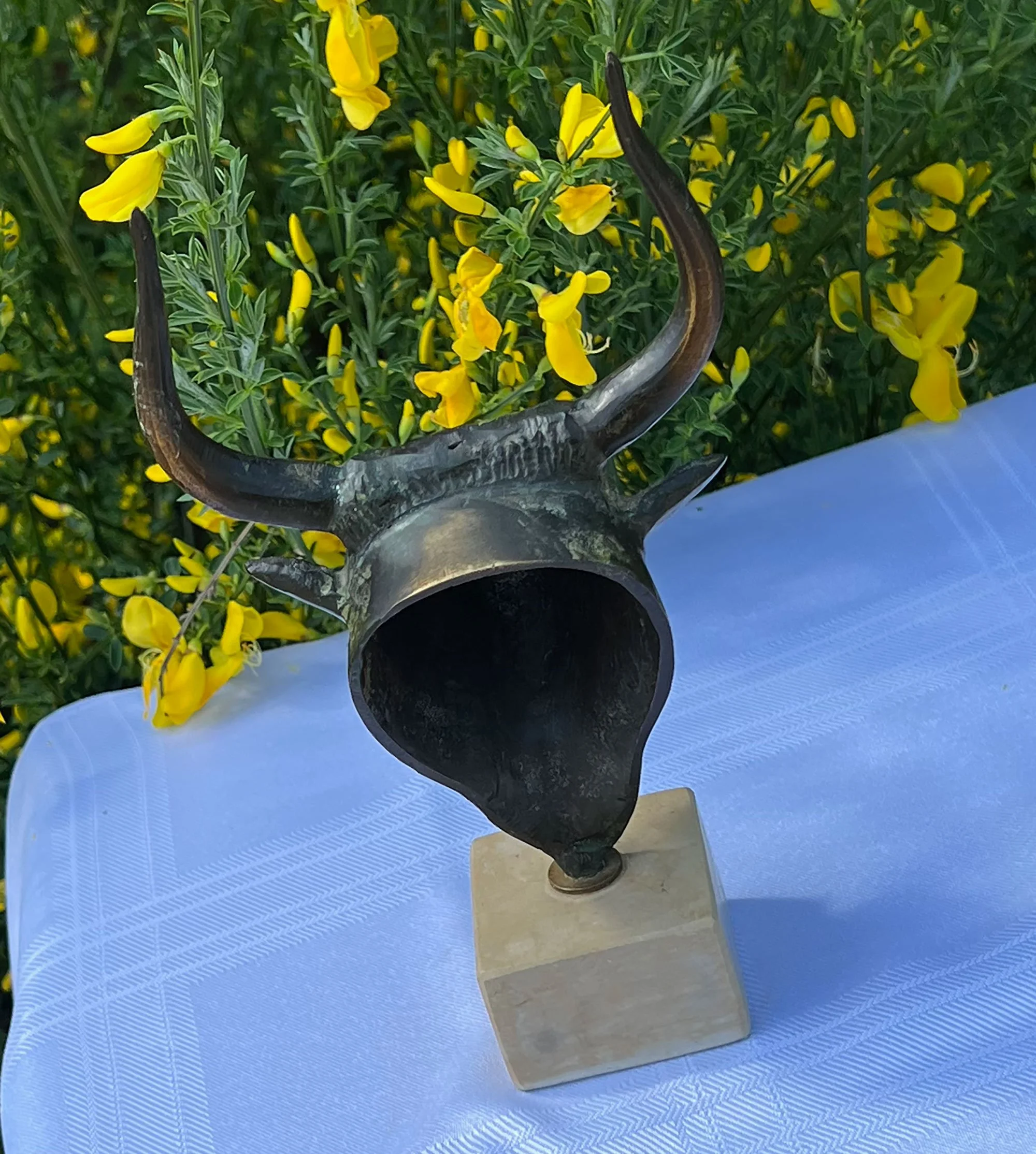 bull3-pod36.jpg