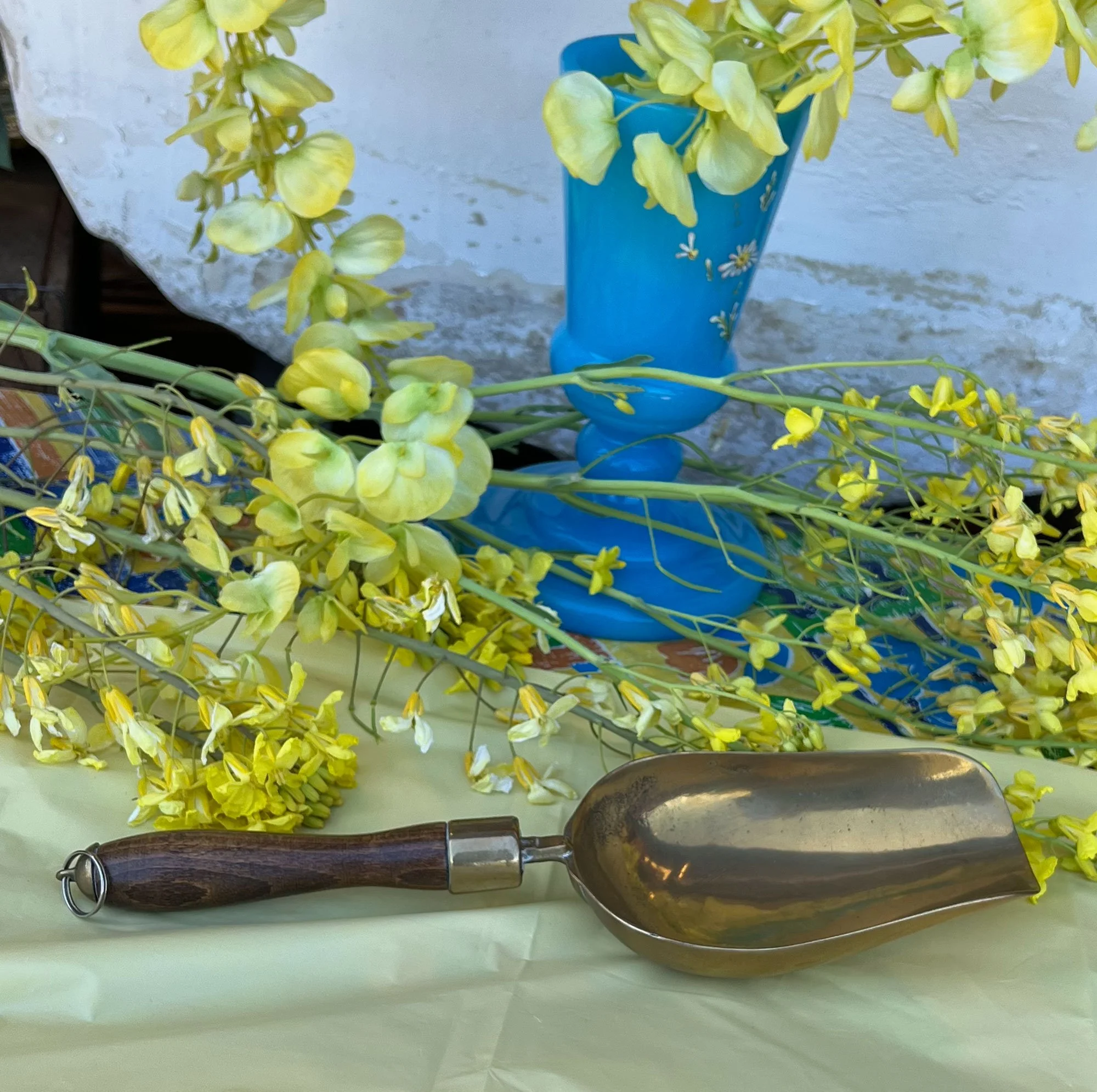 Wood Handled Brass Scoop