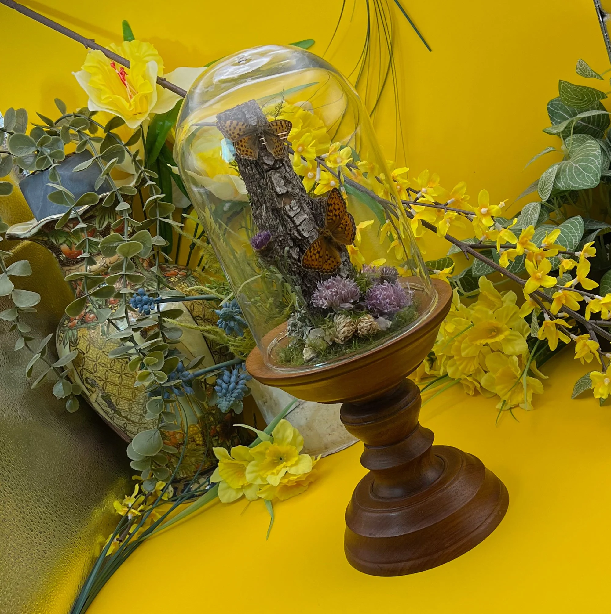 Fritillary Butterfly bell jar