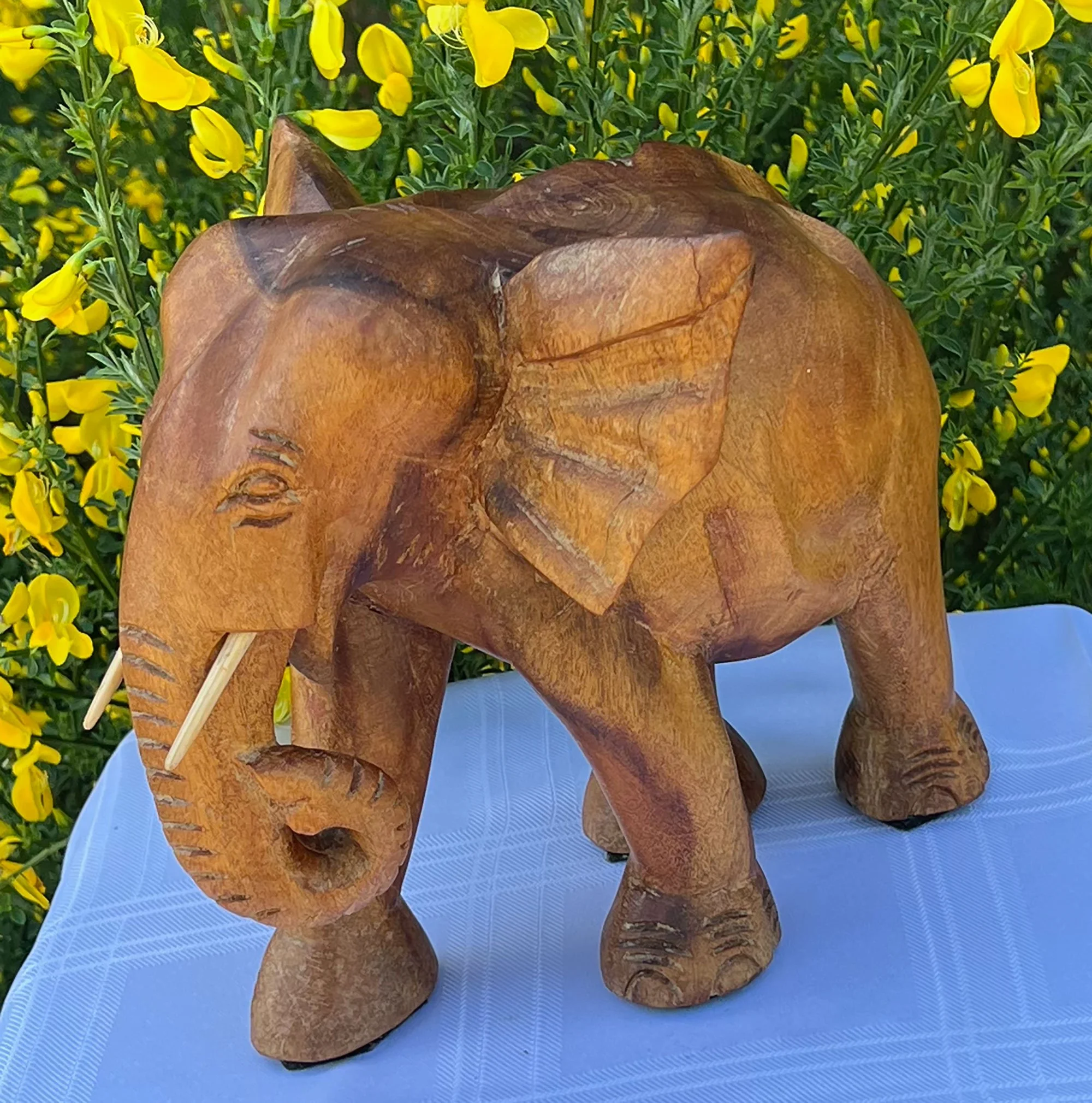 elephant-pod28.jpg